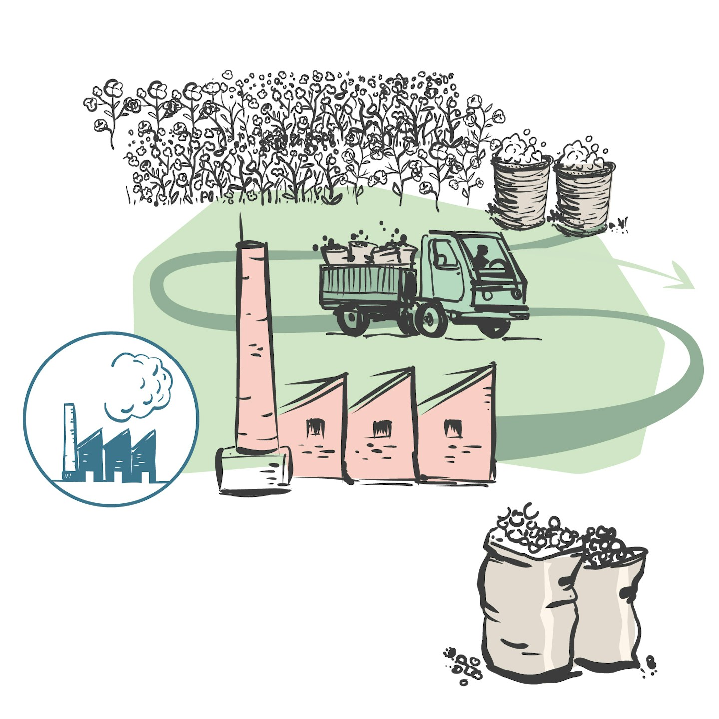 Grafik Produktion GOTS