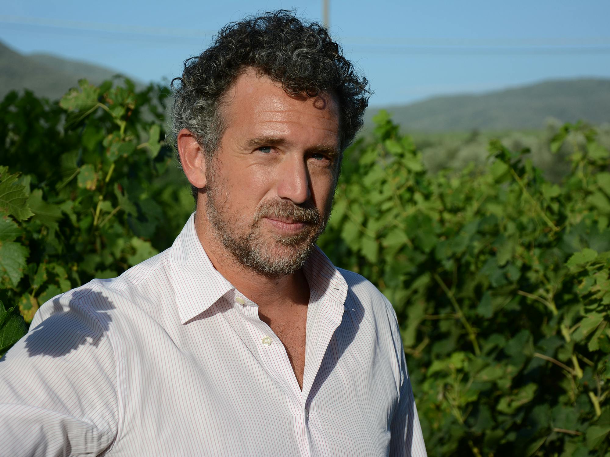Mövenpick Wein des Jahres 2024, Livrone, Poggio al Tesoro