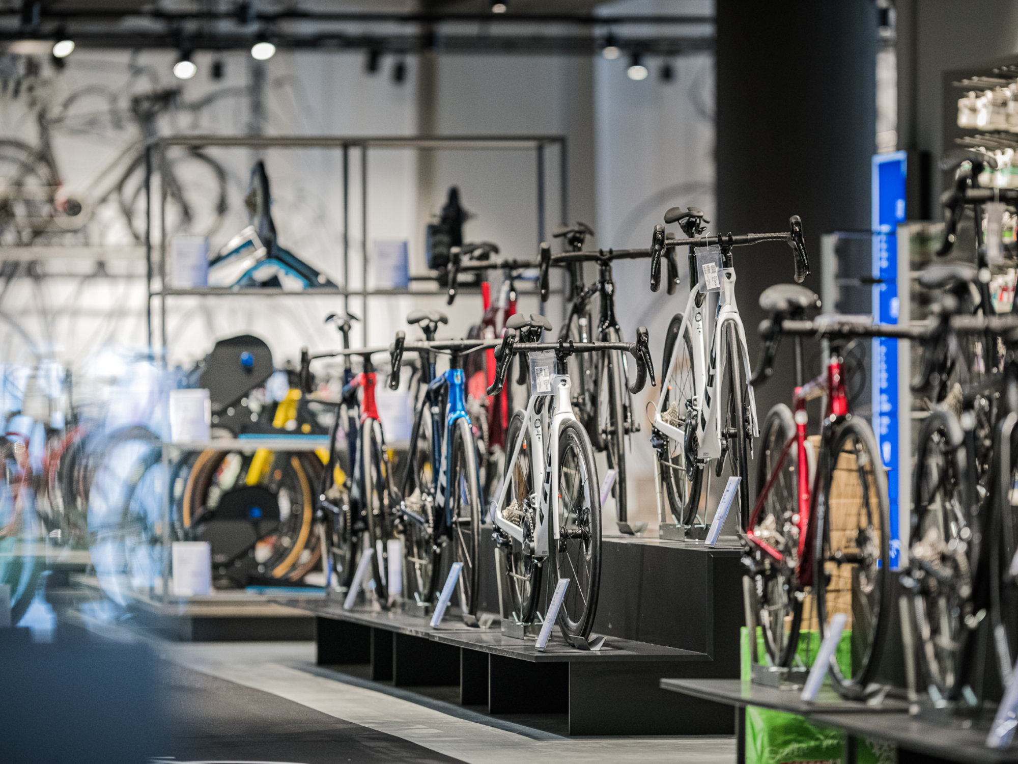 Bike Rental Online Kaufen | Sportler.com