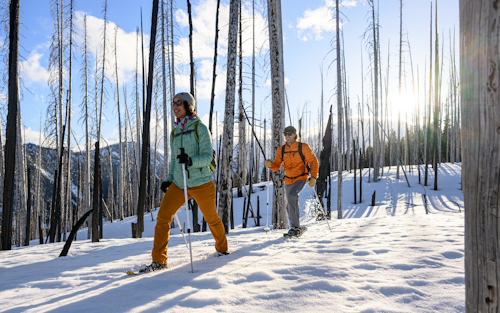 Winterwandern Schneeschuhe - Foto MSR