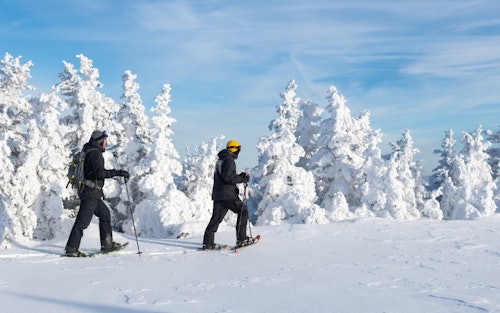 Winterwandern Schneeschuhe