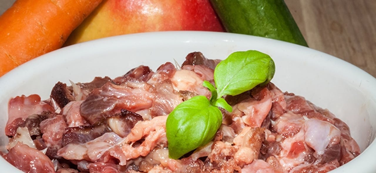 Frischfleisch für Katzen Tierische Tipps von DAS FUTTERHAUS