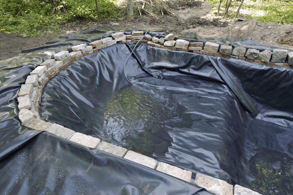 So Legen Sie Einen Gartenteich An Das Futterhaus