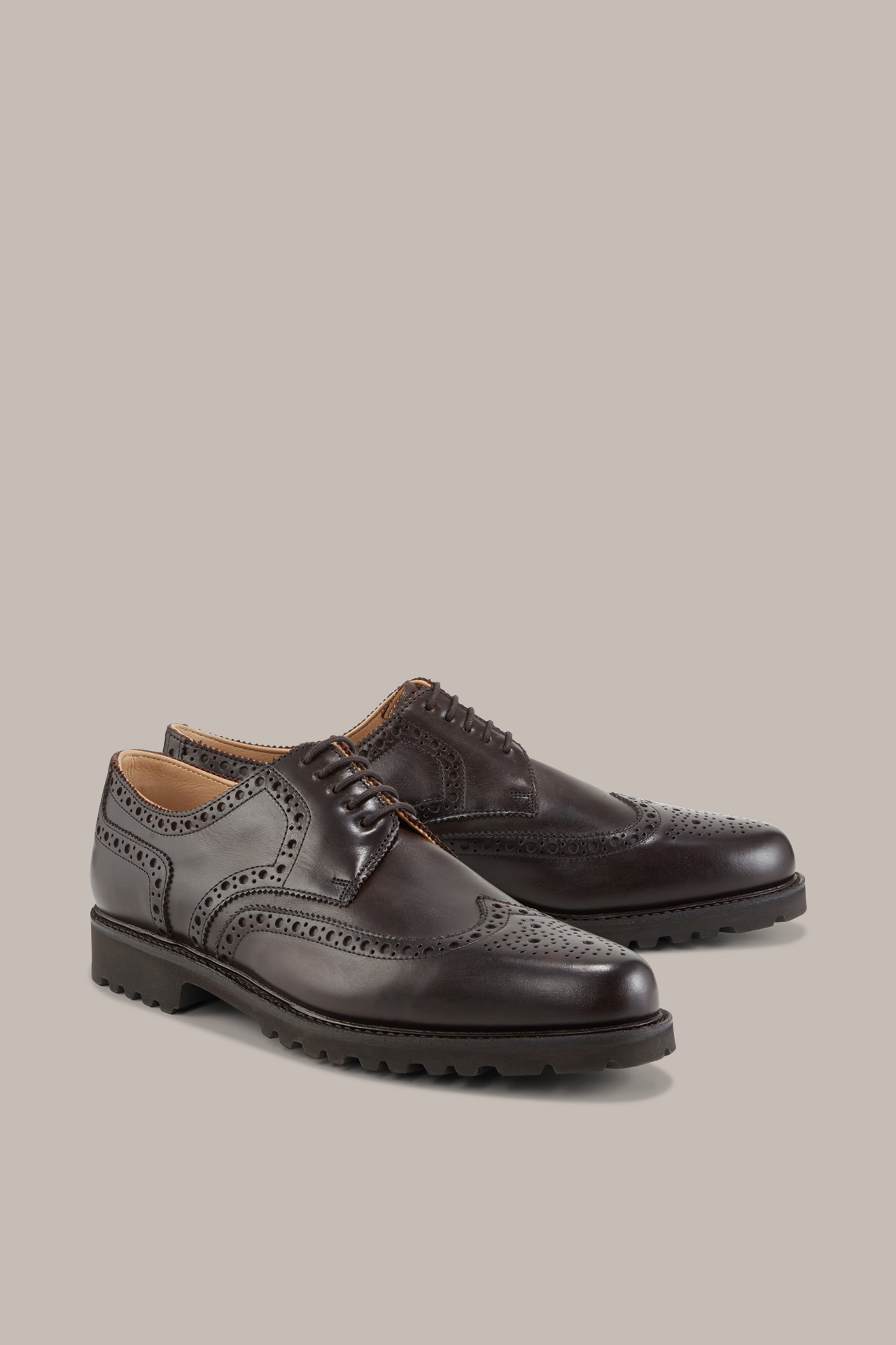 Budapest Shoes by Ludwig Reiter in Dark Brown