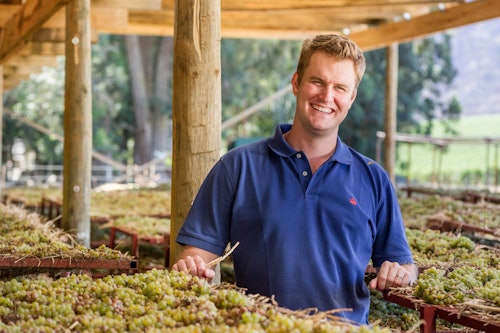 Der Frühlings-, Sommer-, Herbst- und Winter-Chardonnay