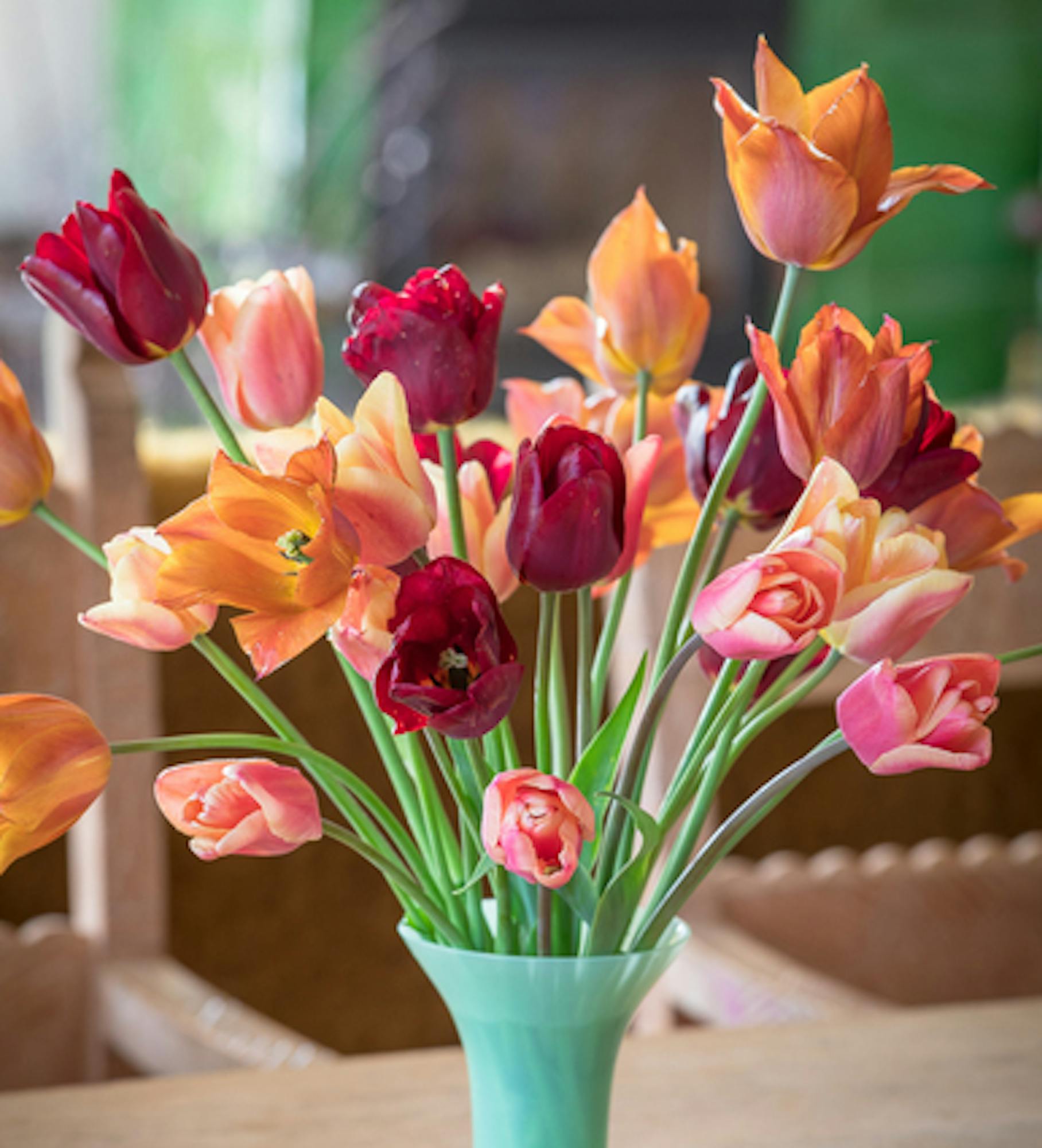 Plum and Apricot Tulip Mix