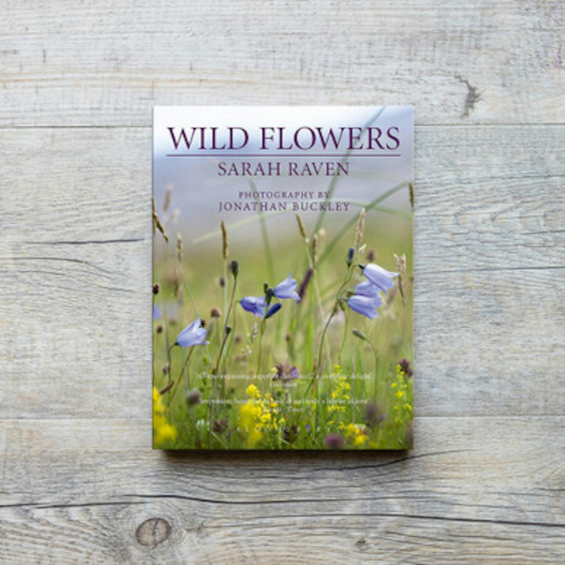 Sarah Raven's Wild Flowers