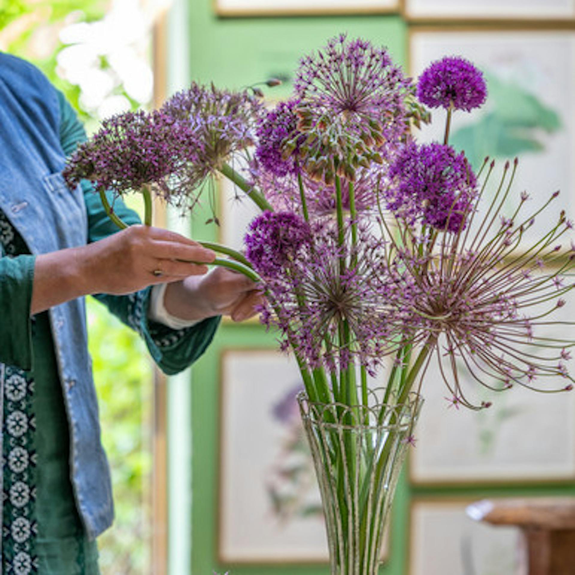 Sarah's Desert Island Allium Collection
