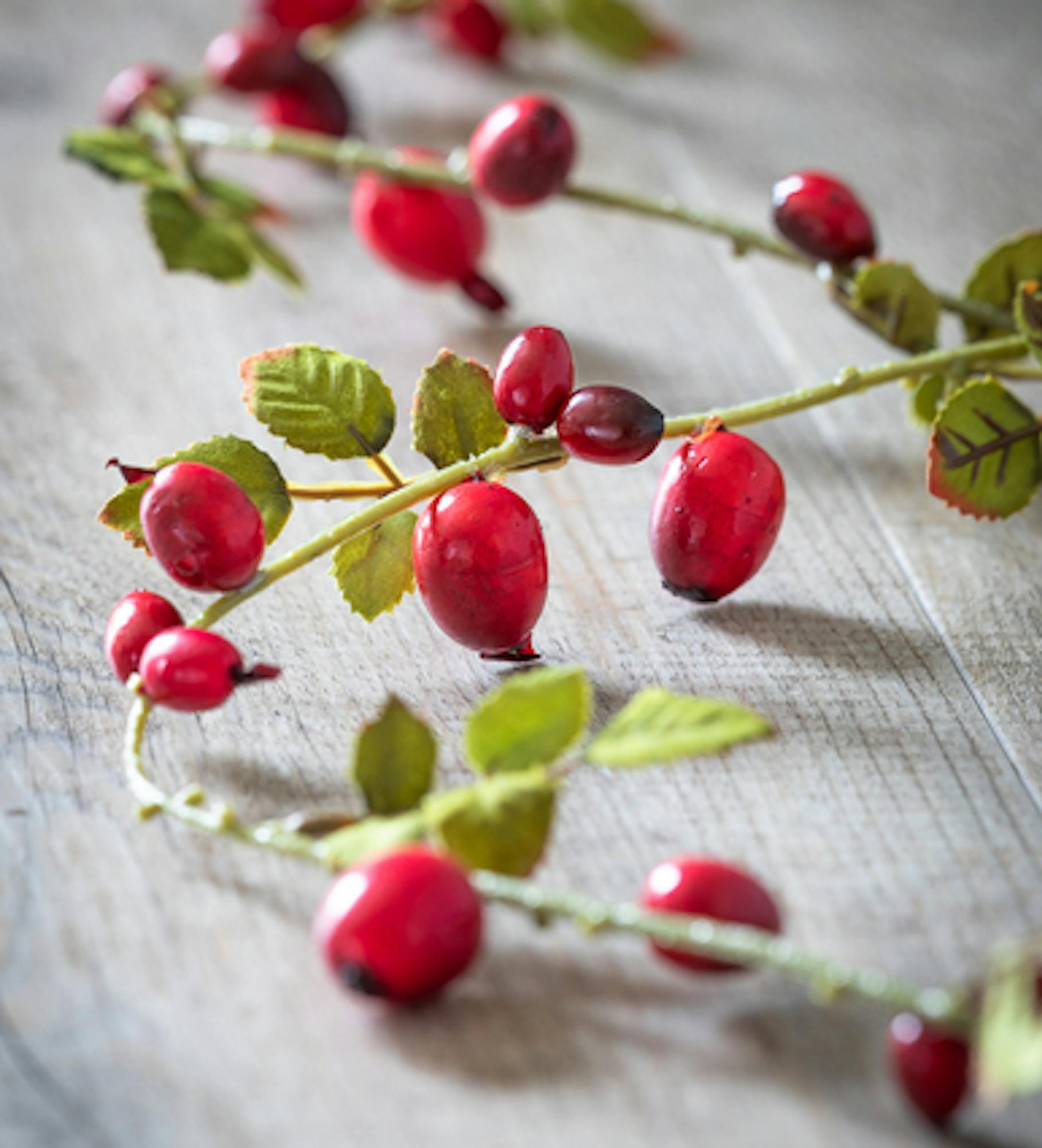 Rosehip Garland