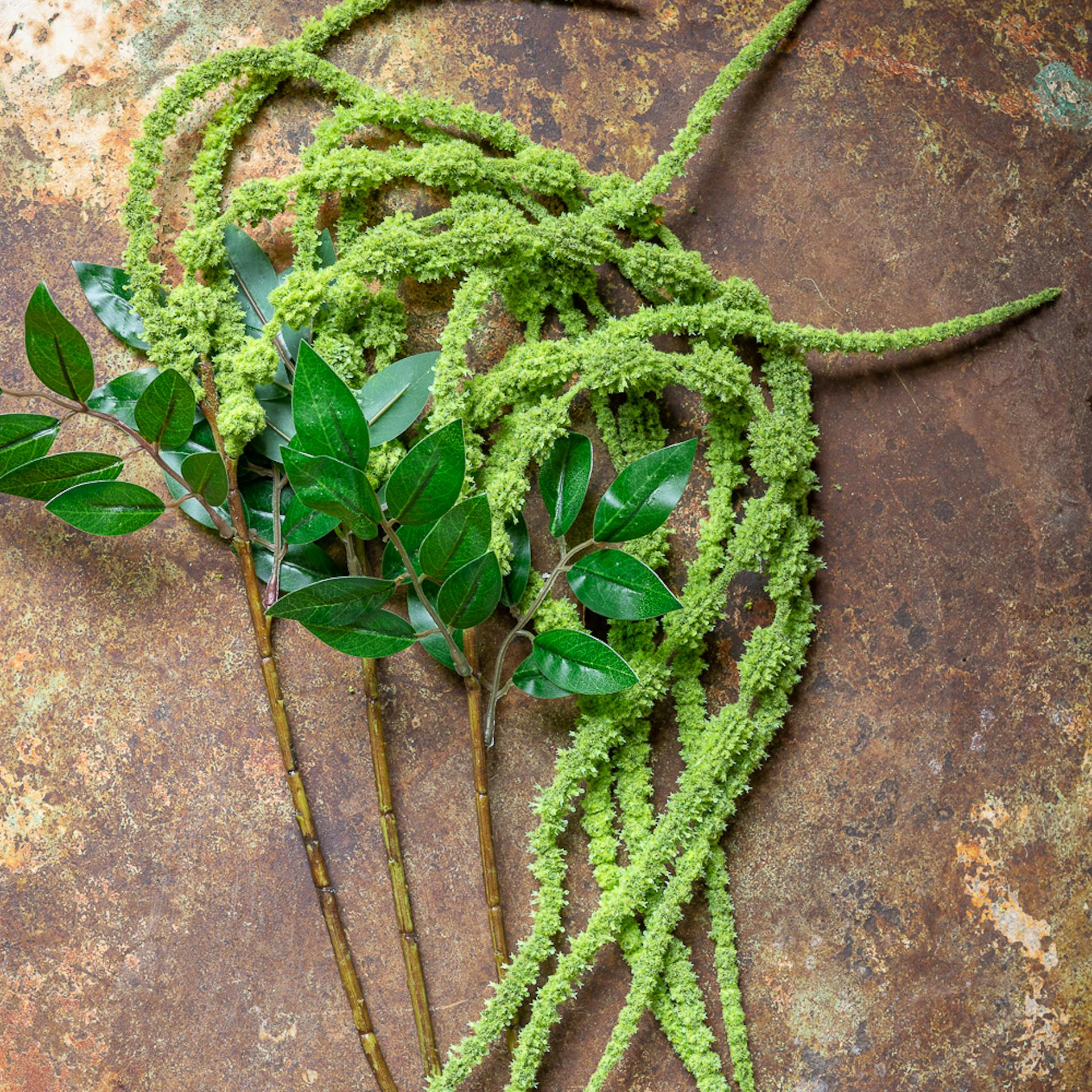 Green Amaranthus Spray