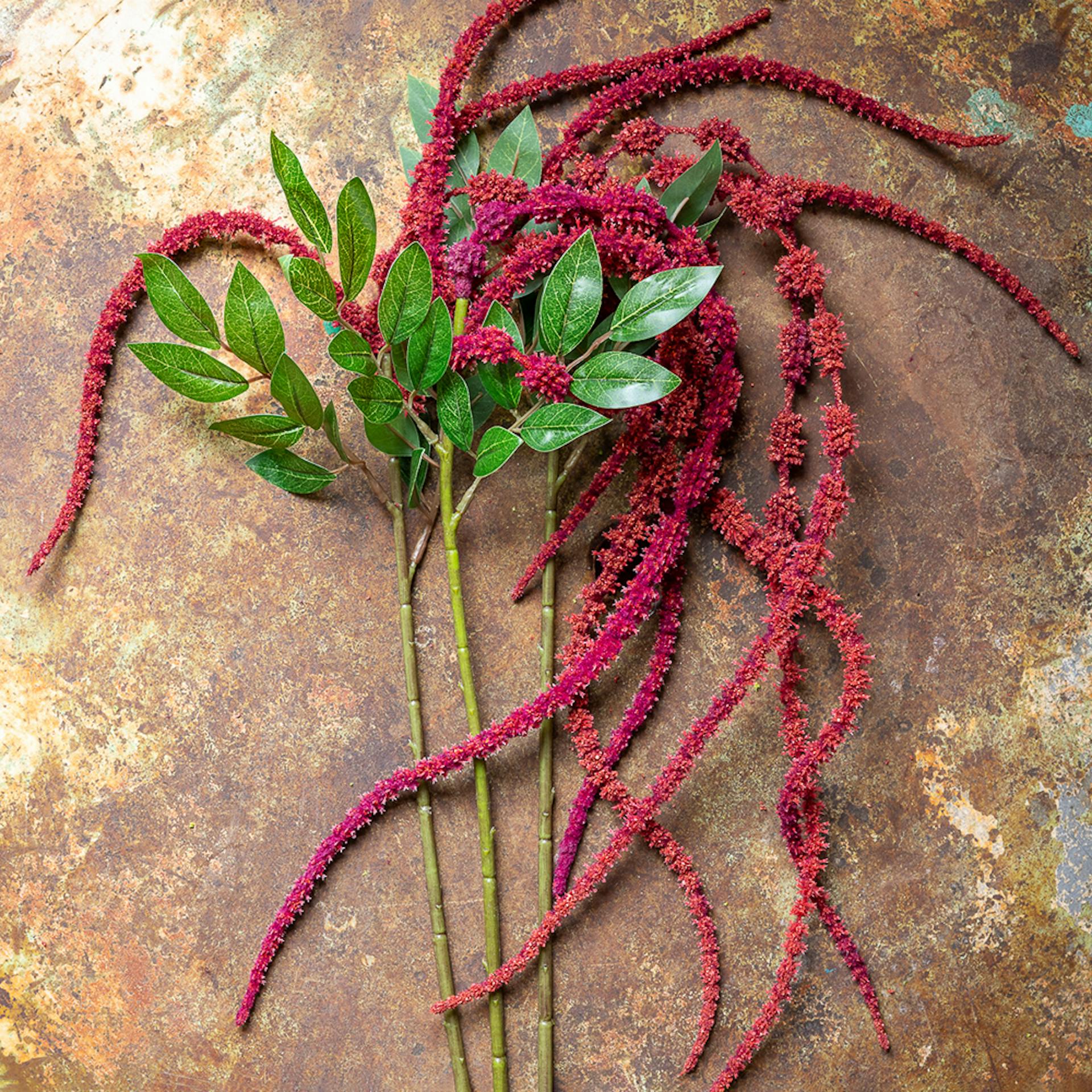 Burgundy Amaranthus Spray