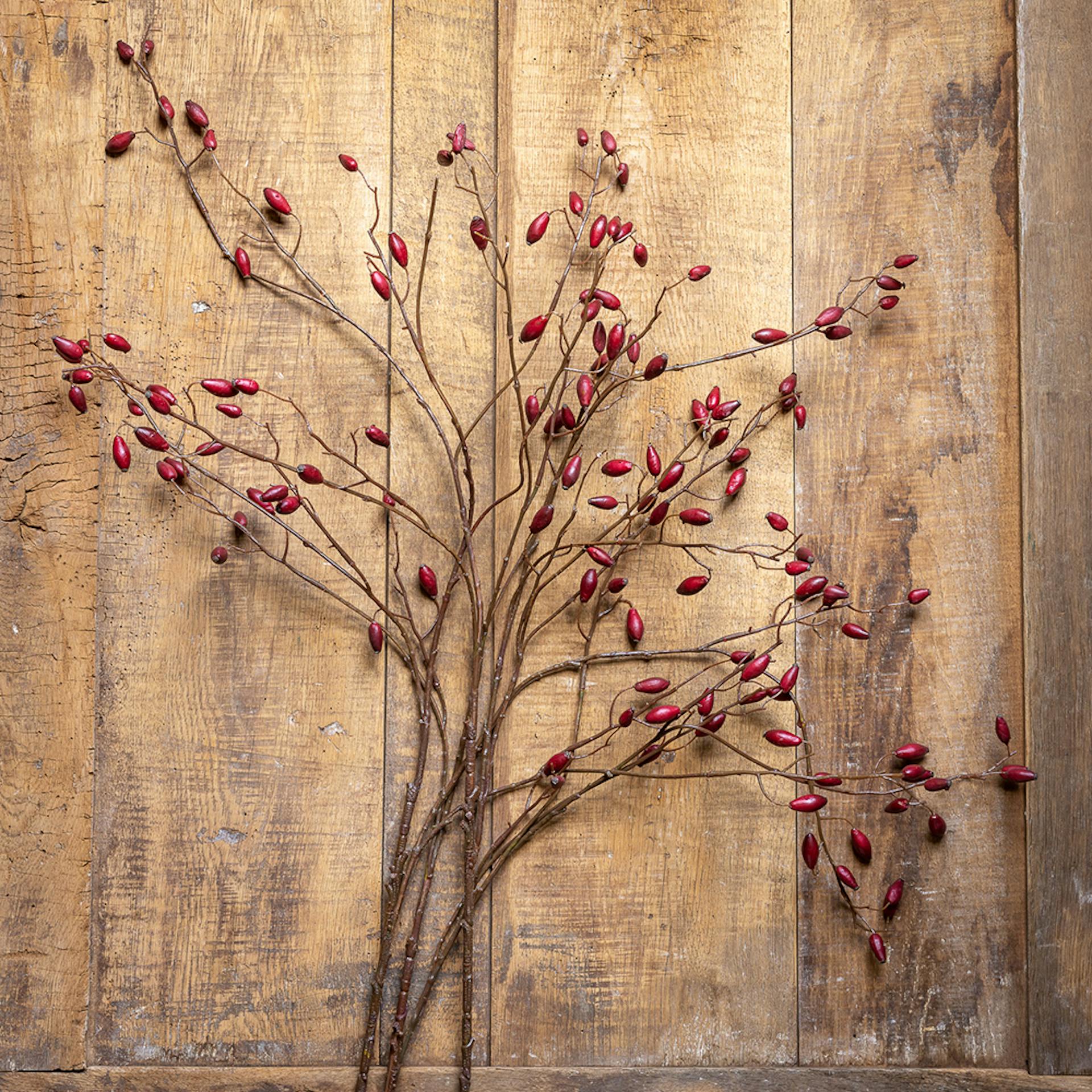 Burgundy Rosehip Sprays