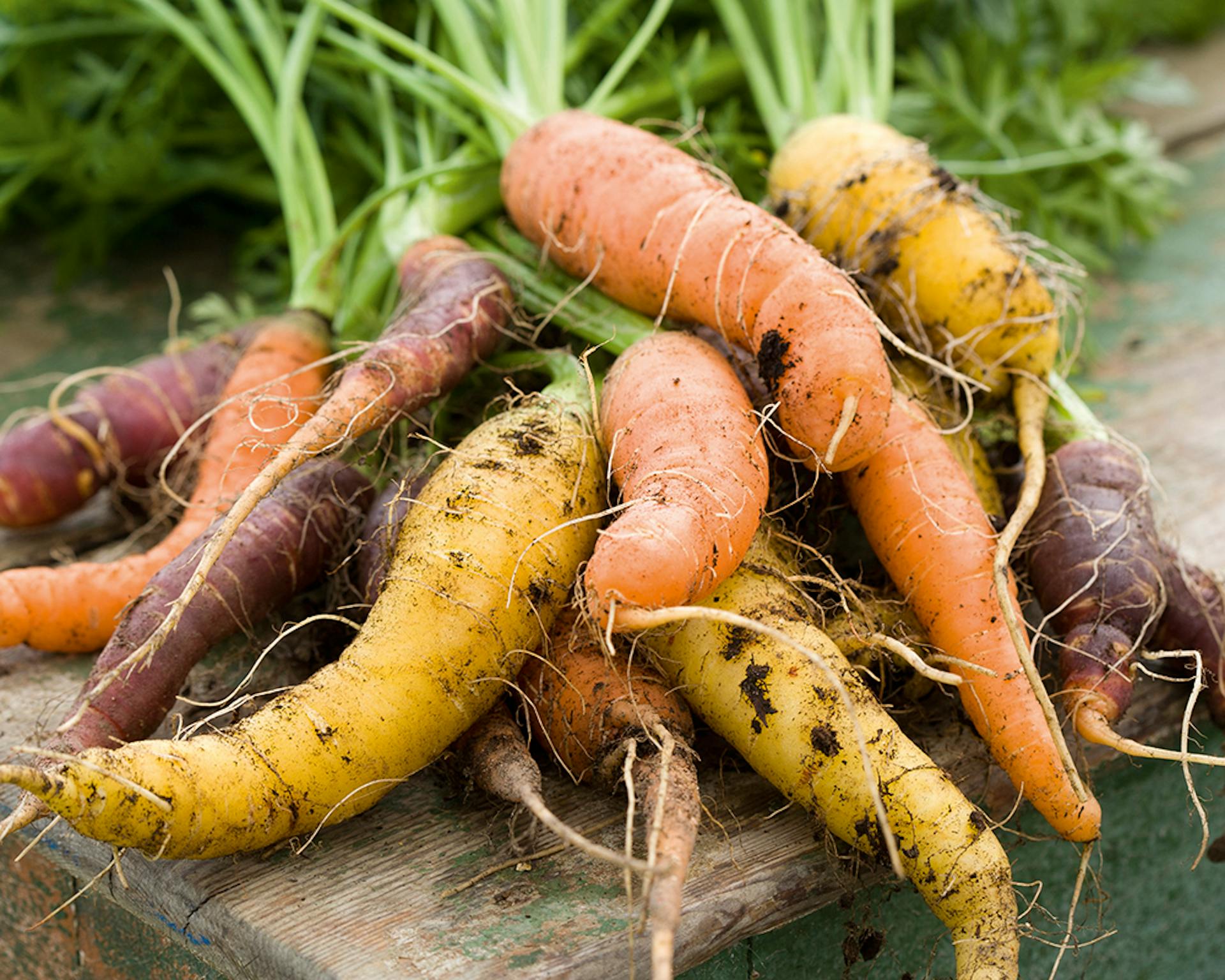slow-roast carrots with garlic lemon butter