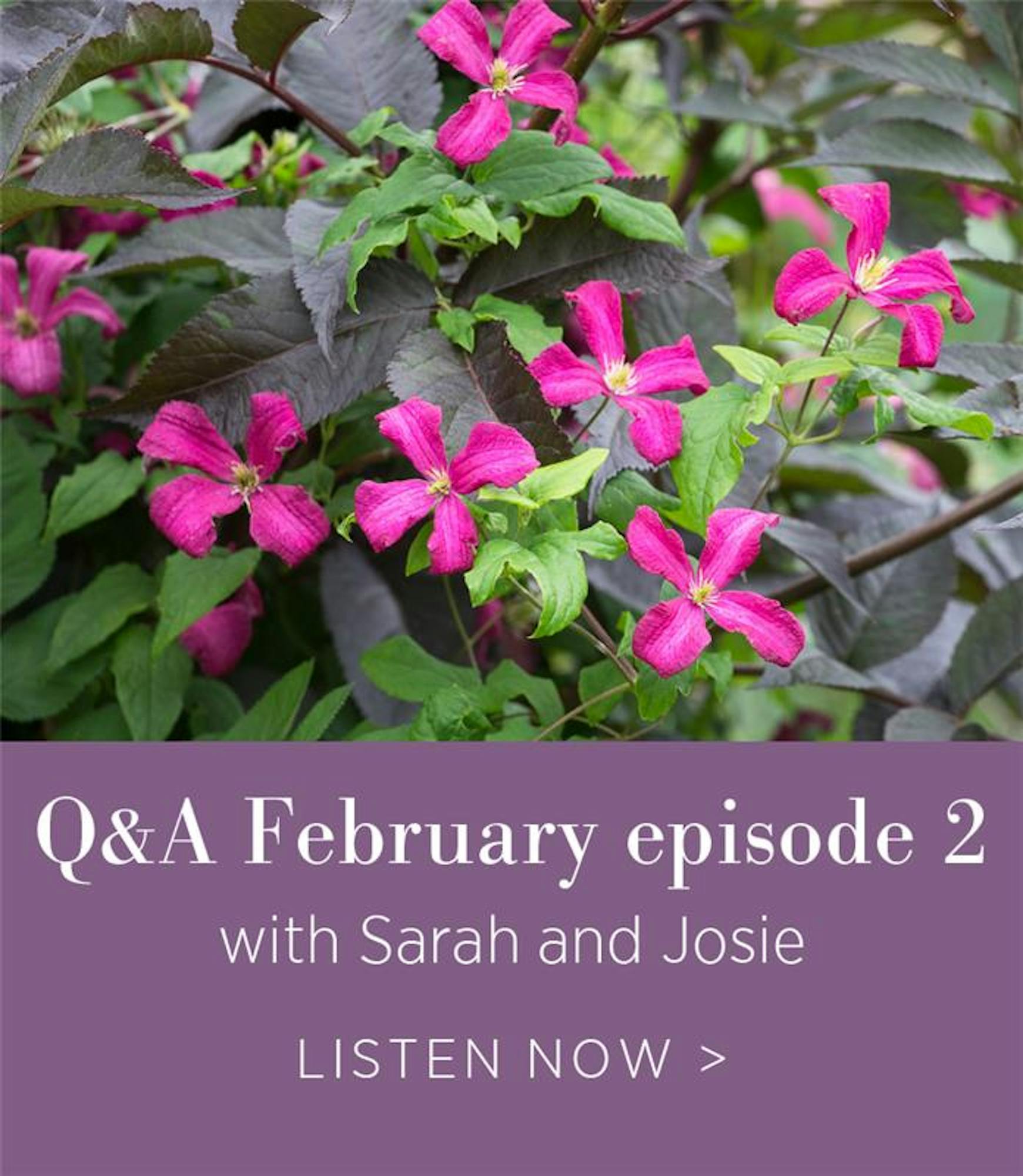 Q&A February