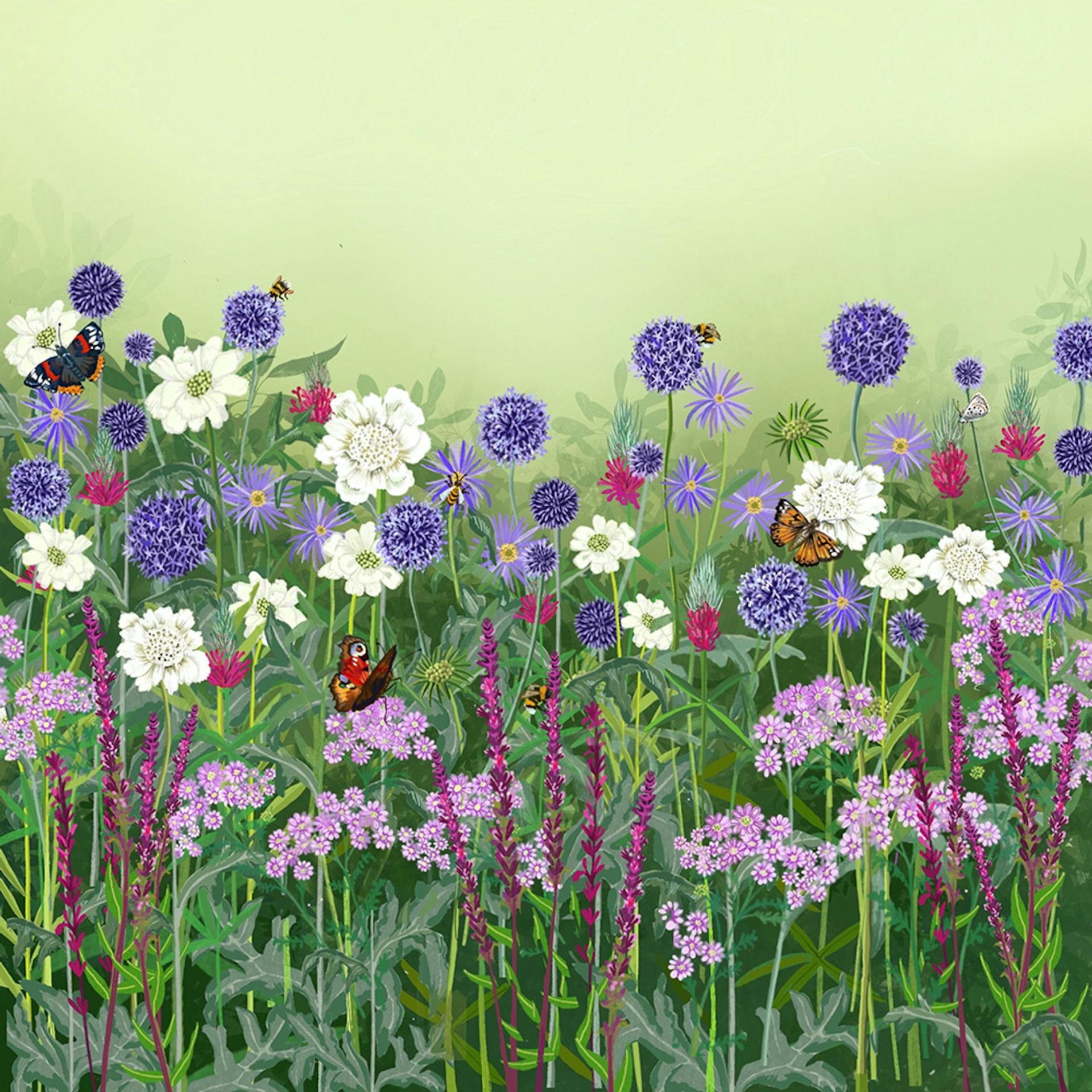 Loved by Pollinators Border Collection 