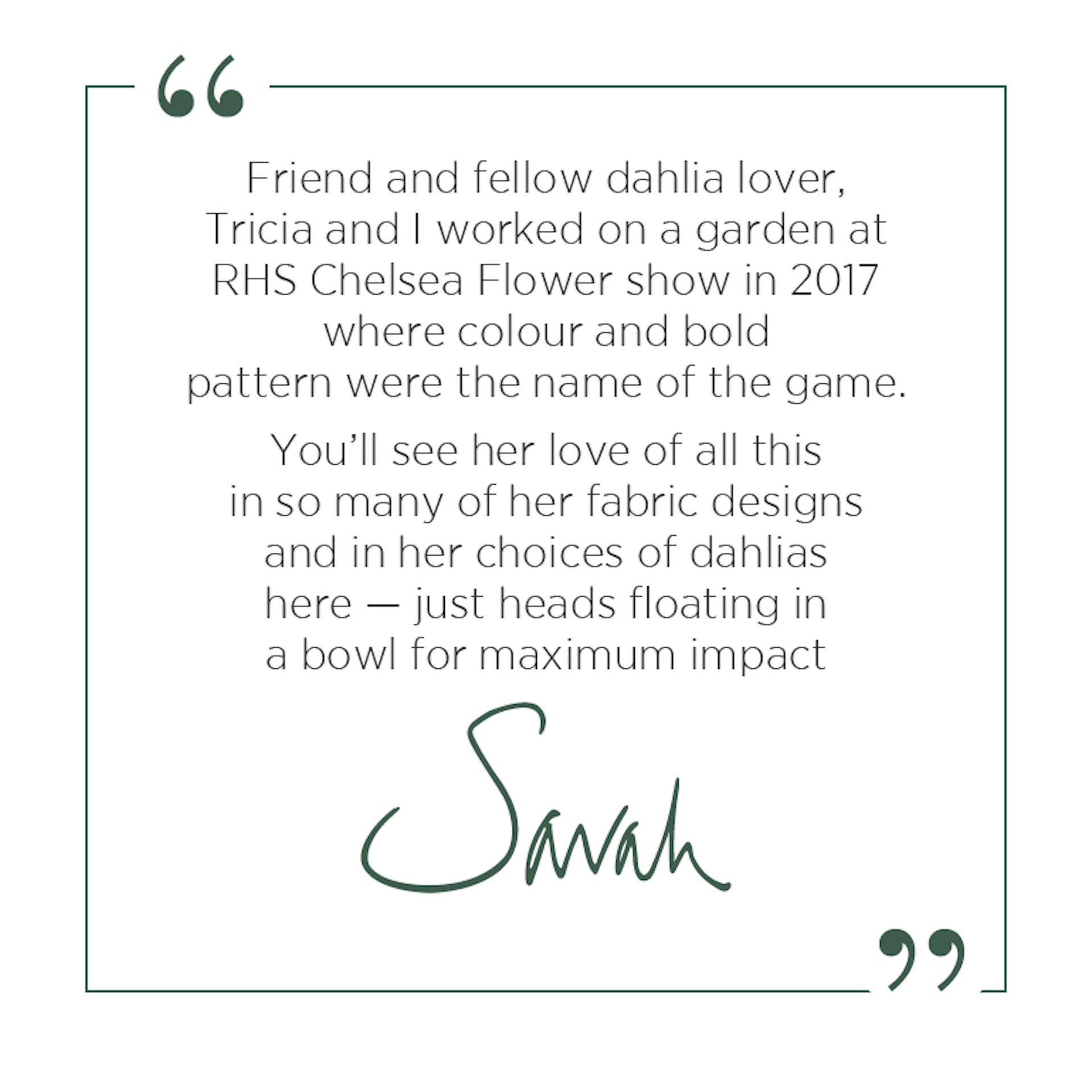 Tricia SR Quote 1 Mob