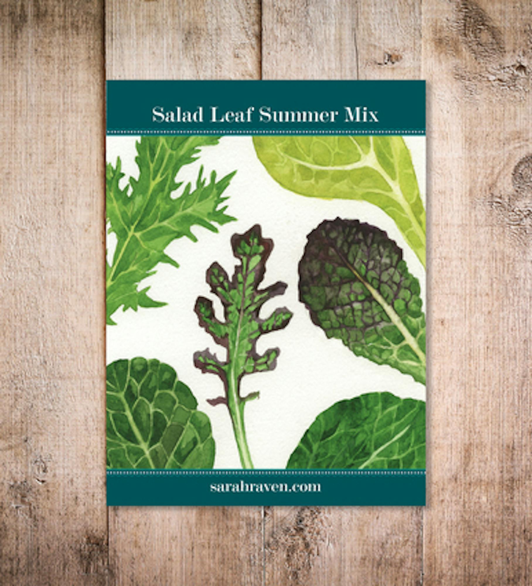 Salad Leaf Summer Mix