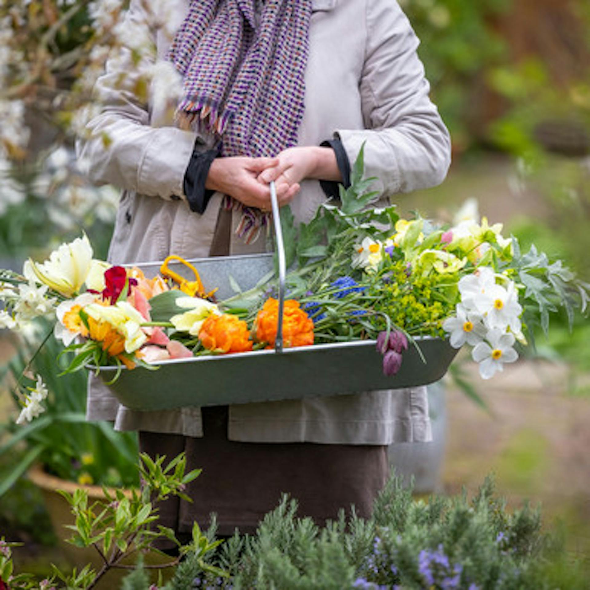 Zinc Harvesting Trug