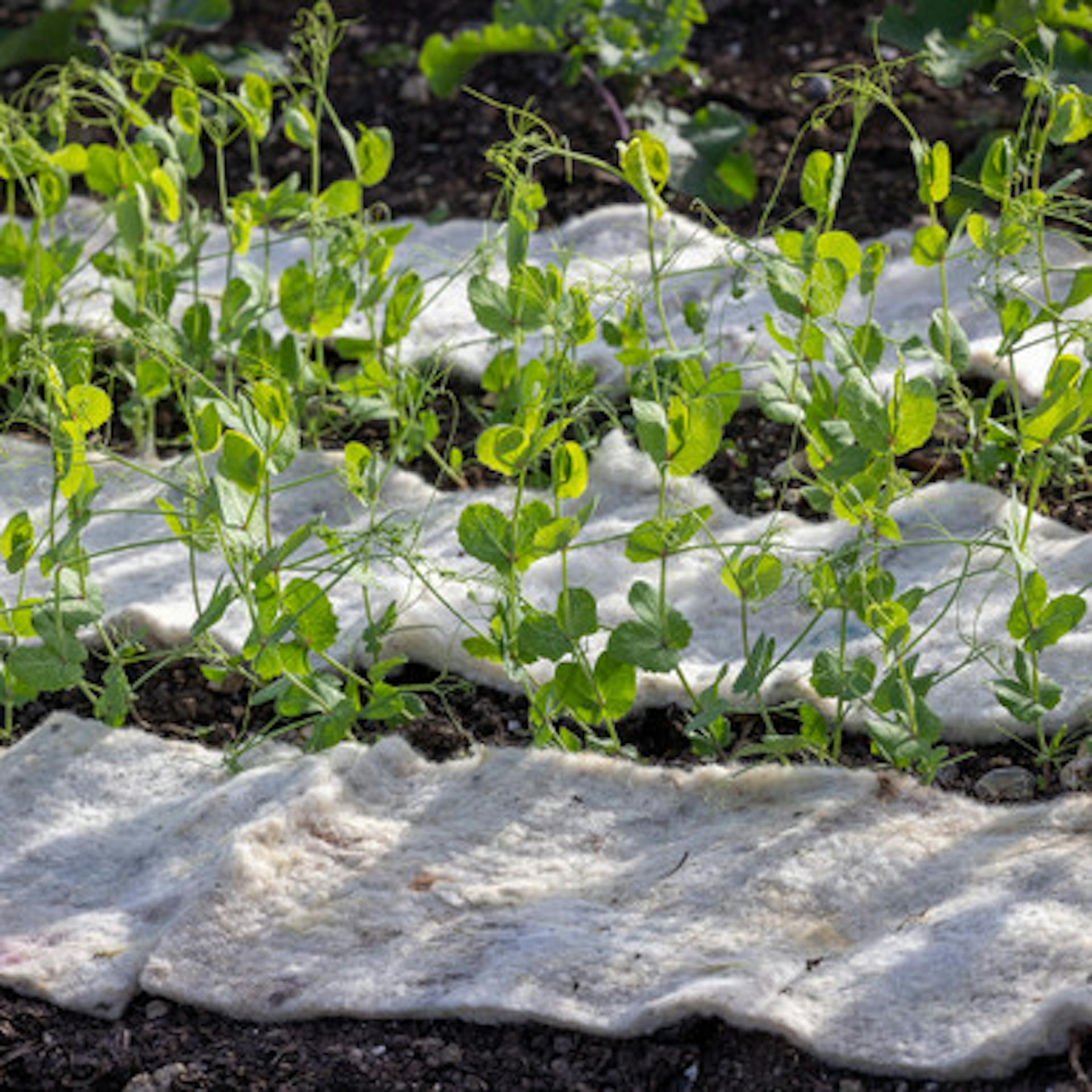 Hortiwool Garden Pad