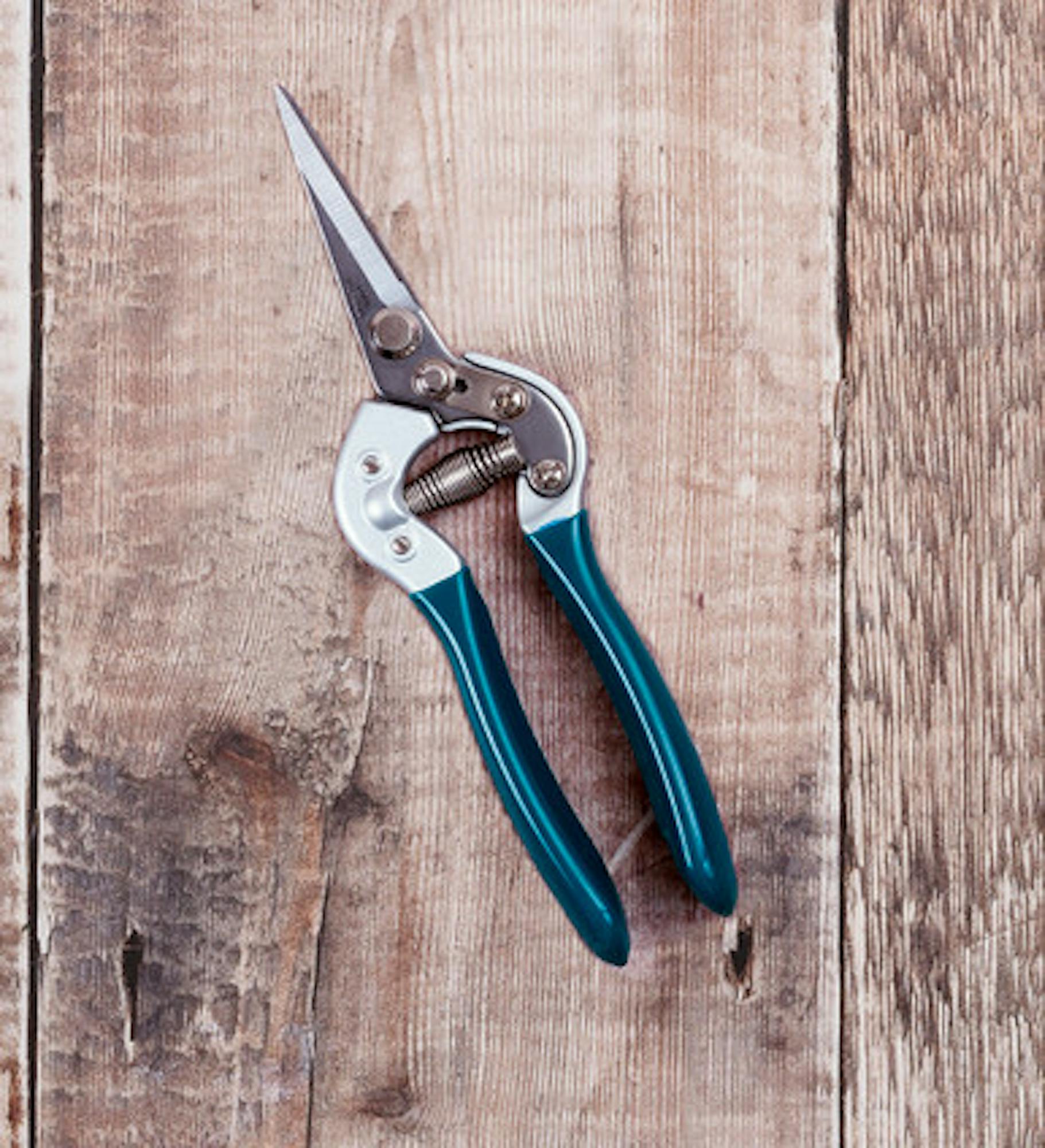 Sarah Raven Pruning Snips