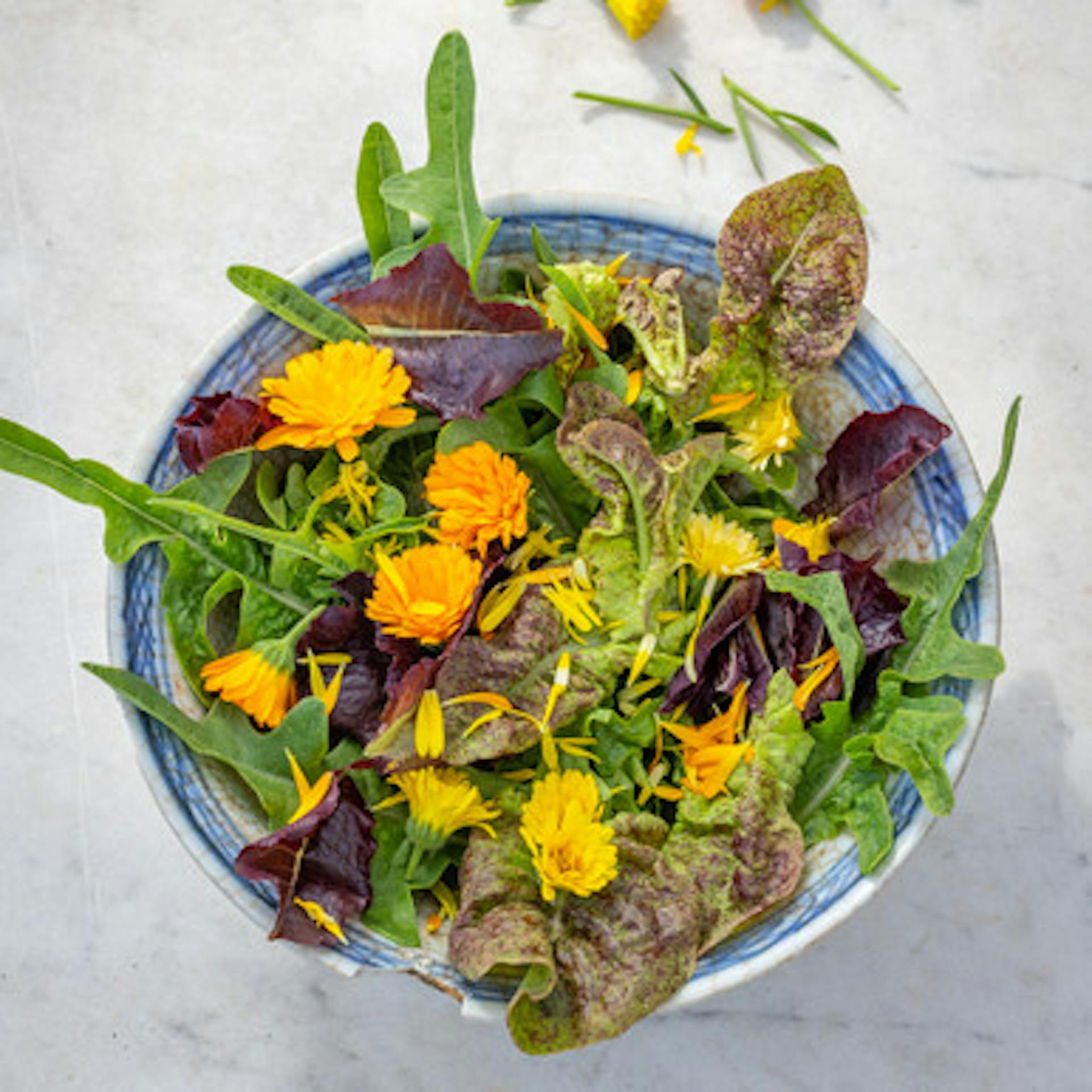 Edible PowerDaisy Collection