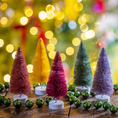 Colourful Brush Tree Set