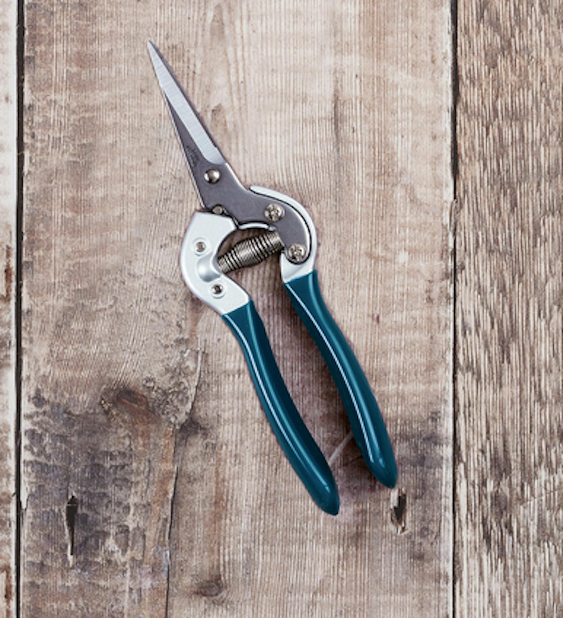 Sarah Raven Pruning Snips