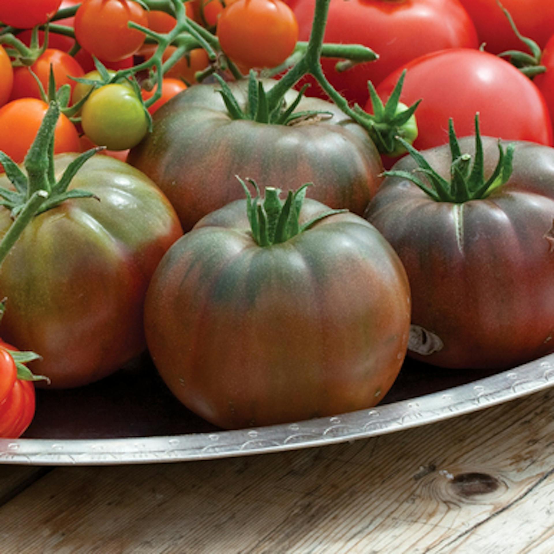Tomato 'Black Russian'