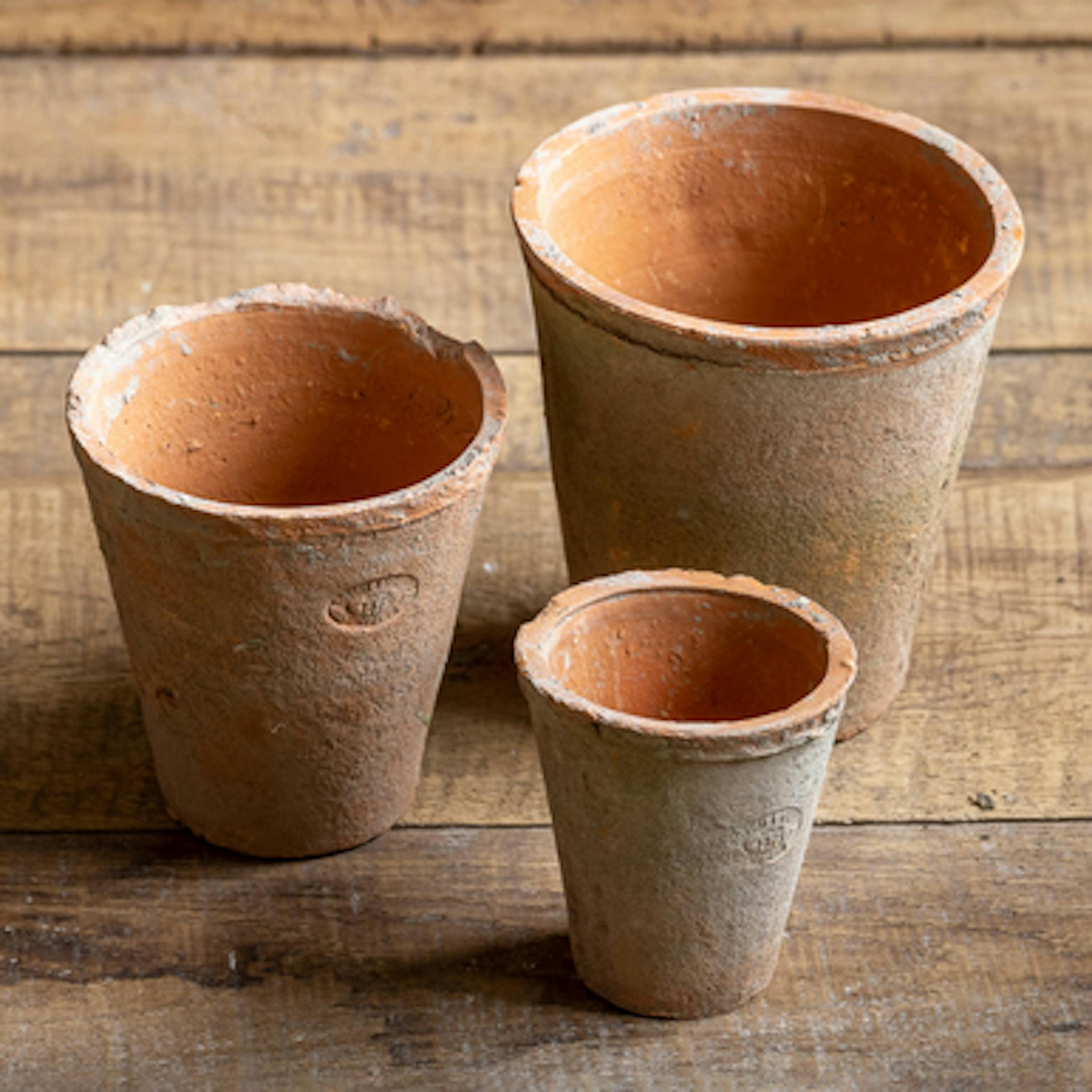 Aged Terracotta Pots