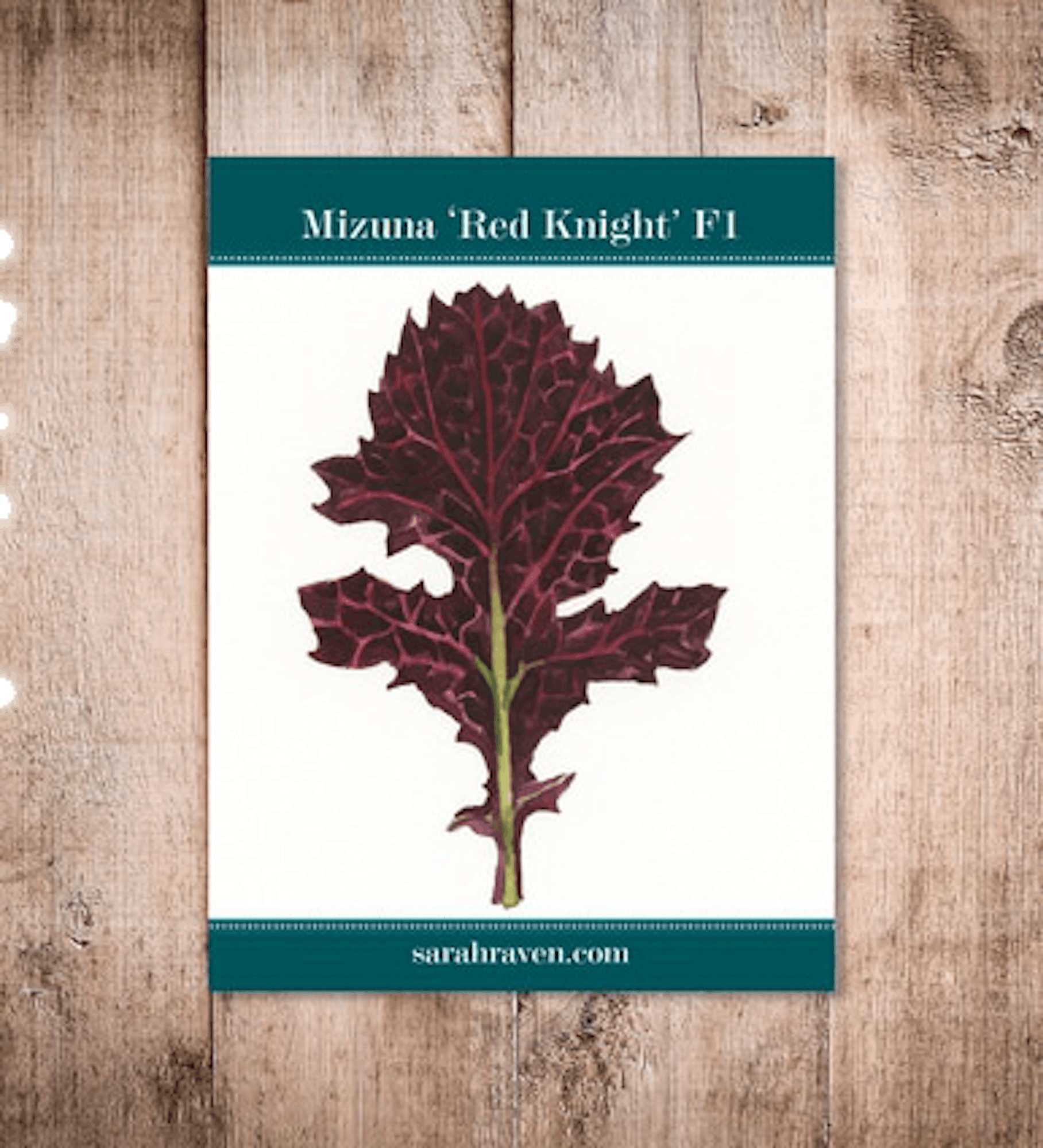 Mizuna 'Red Knight' F1