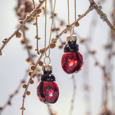 Ladybird Mini Bauble