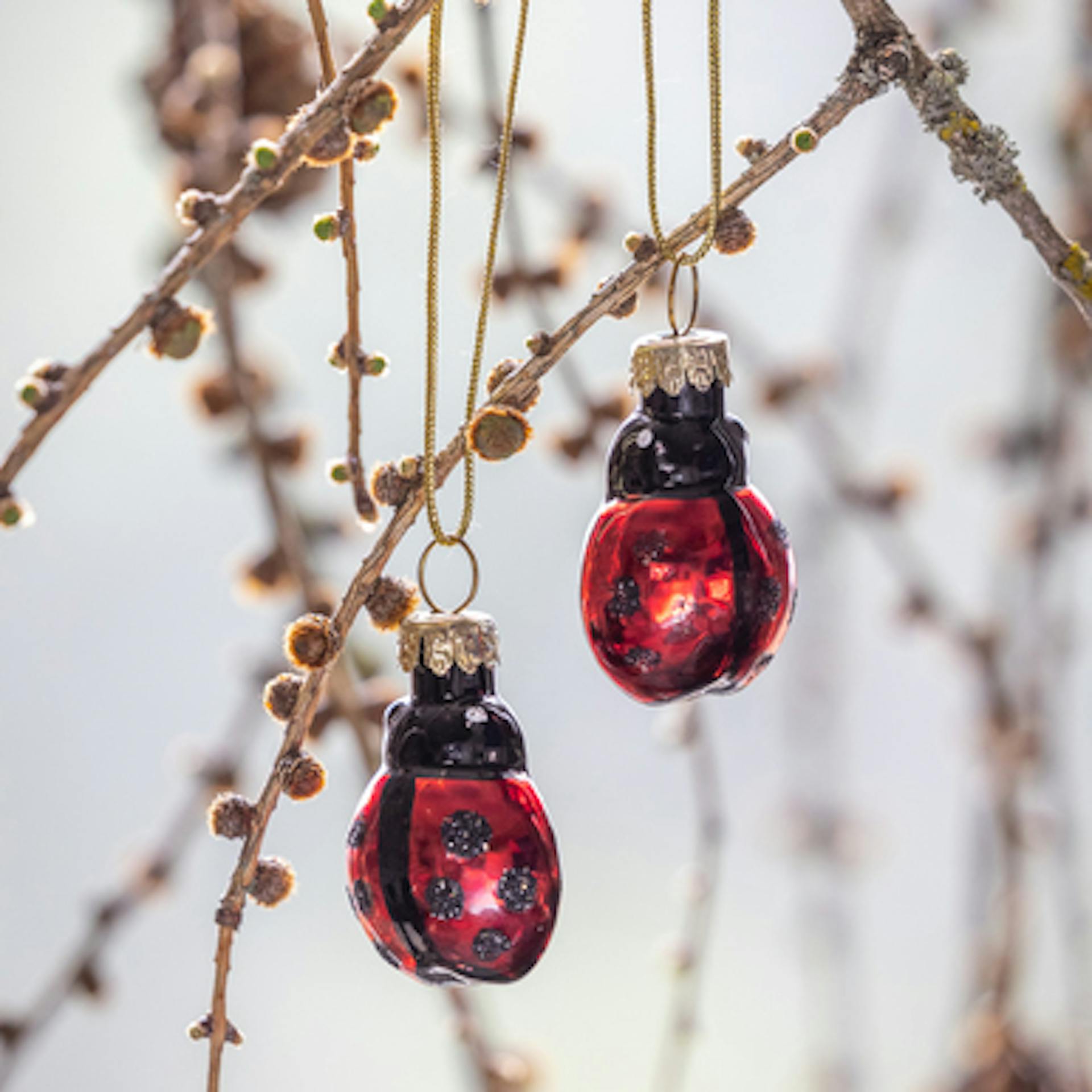 Glass Ladybird Mini Baubles