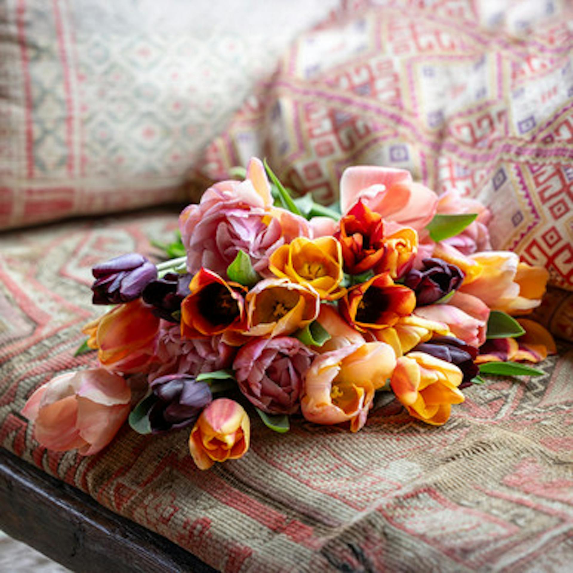April Sunrise Tulip Collection