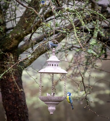 Lantern Bird Feeder