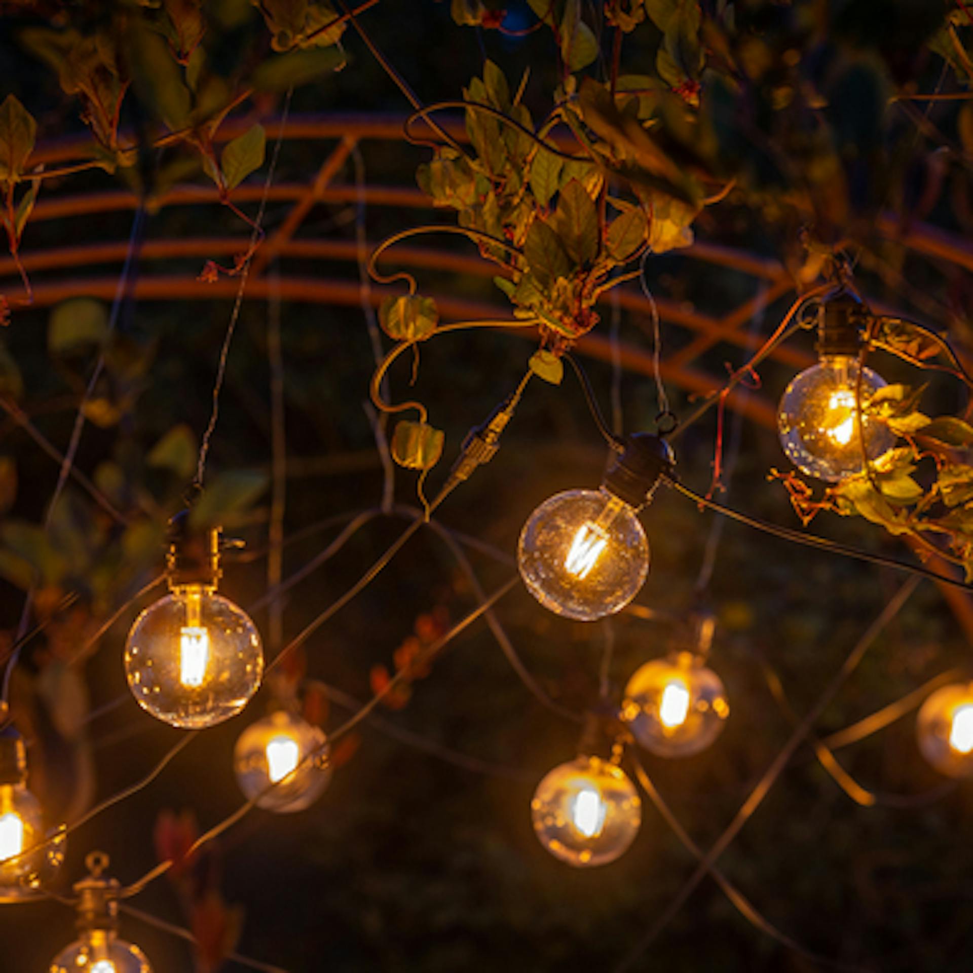 Festoon Amber Lights Round Globes