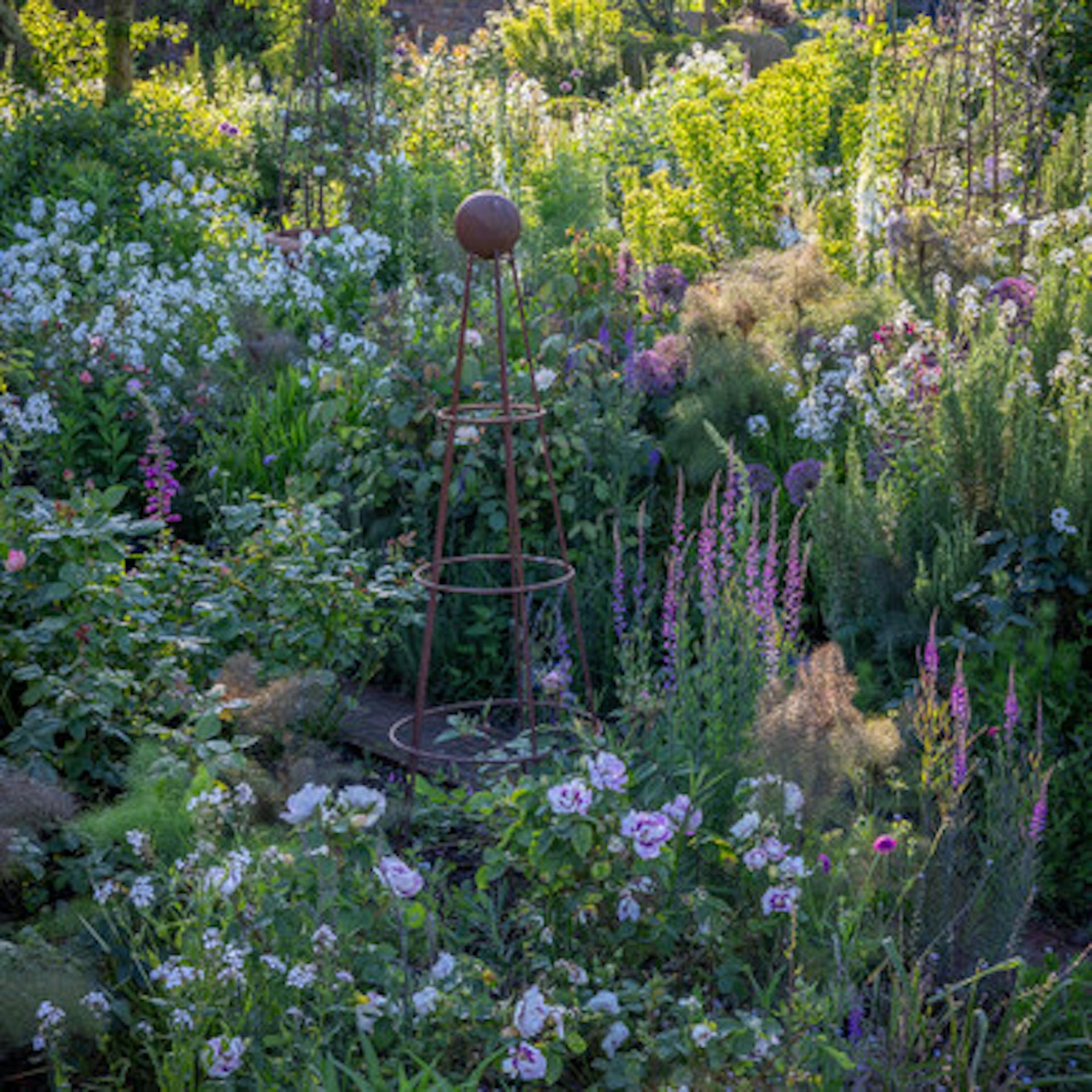 Fill Your Colour Gap Flower Collection