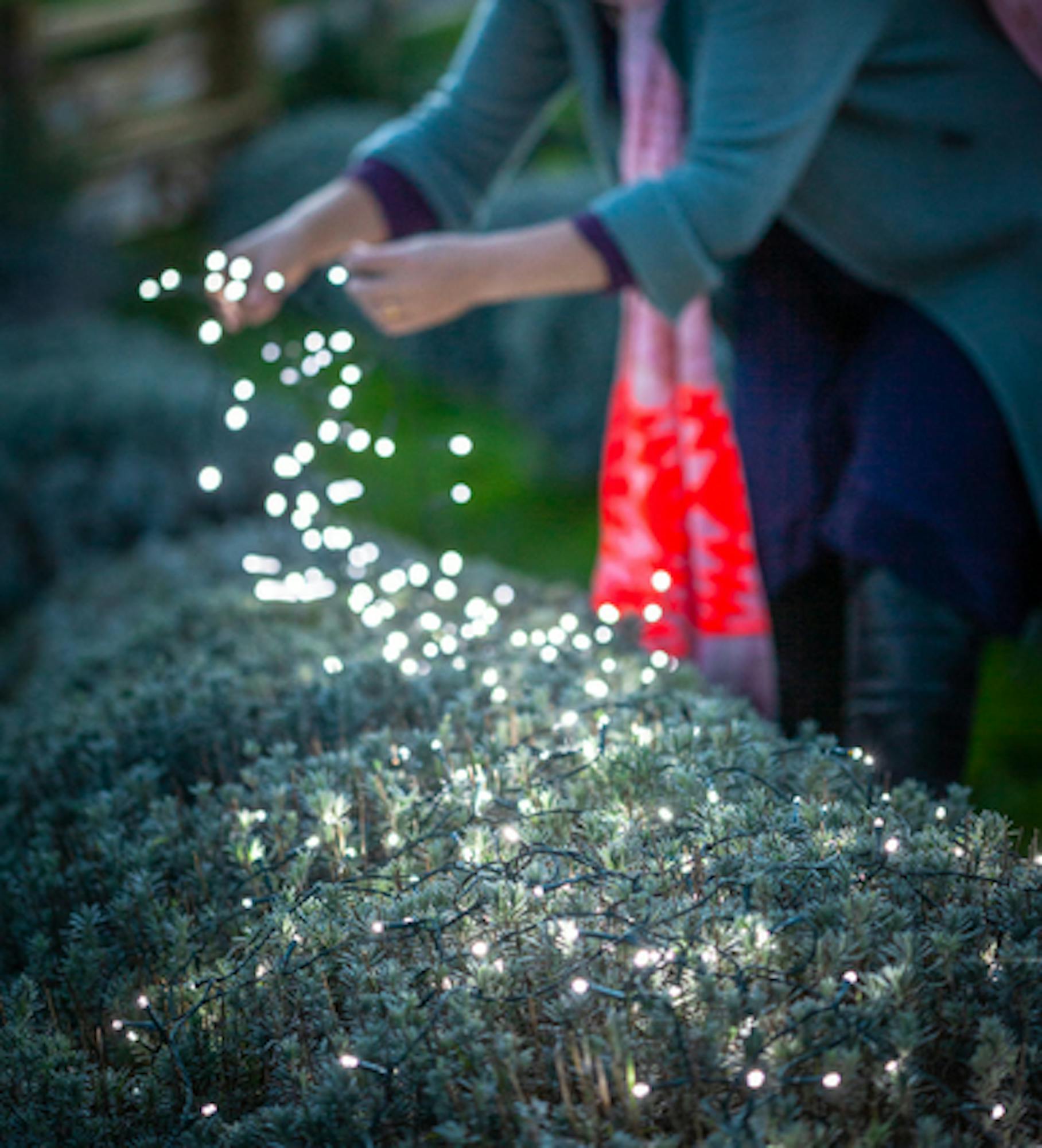 Solar String Lights