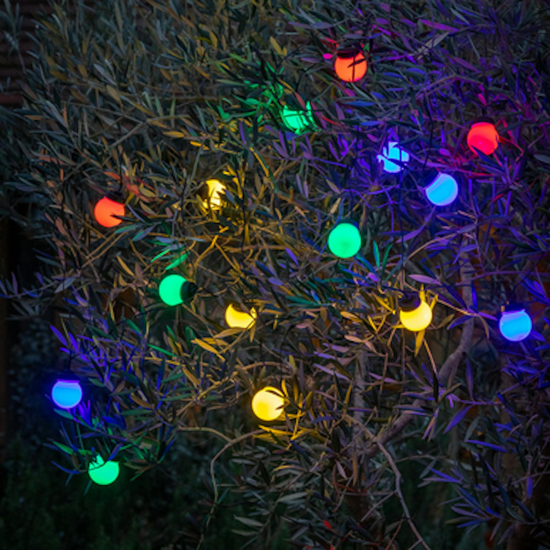 Festoon Party Lights