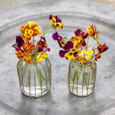 Wire Wrapped Bud Vases