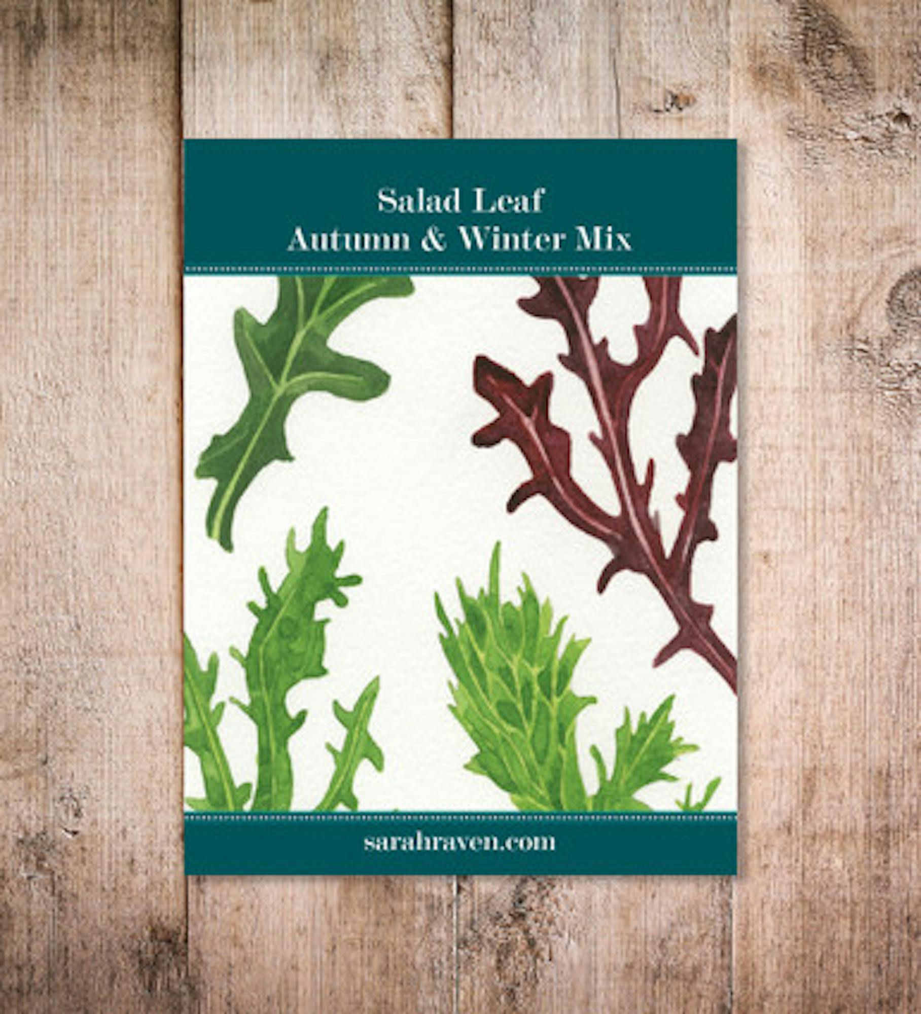 Autumn and Winter Salad Leaf Mix