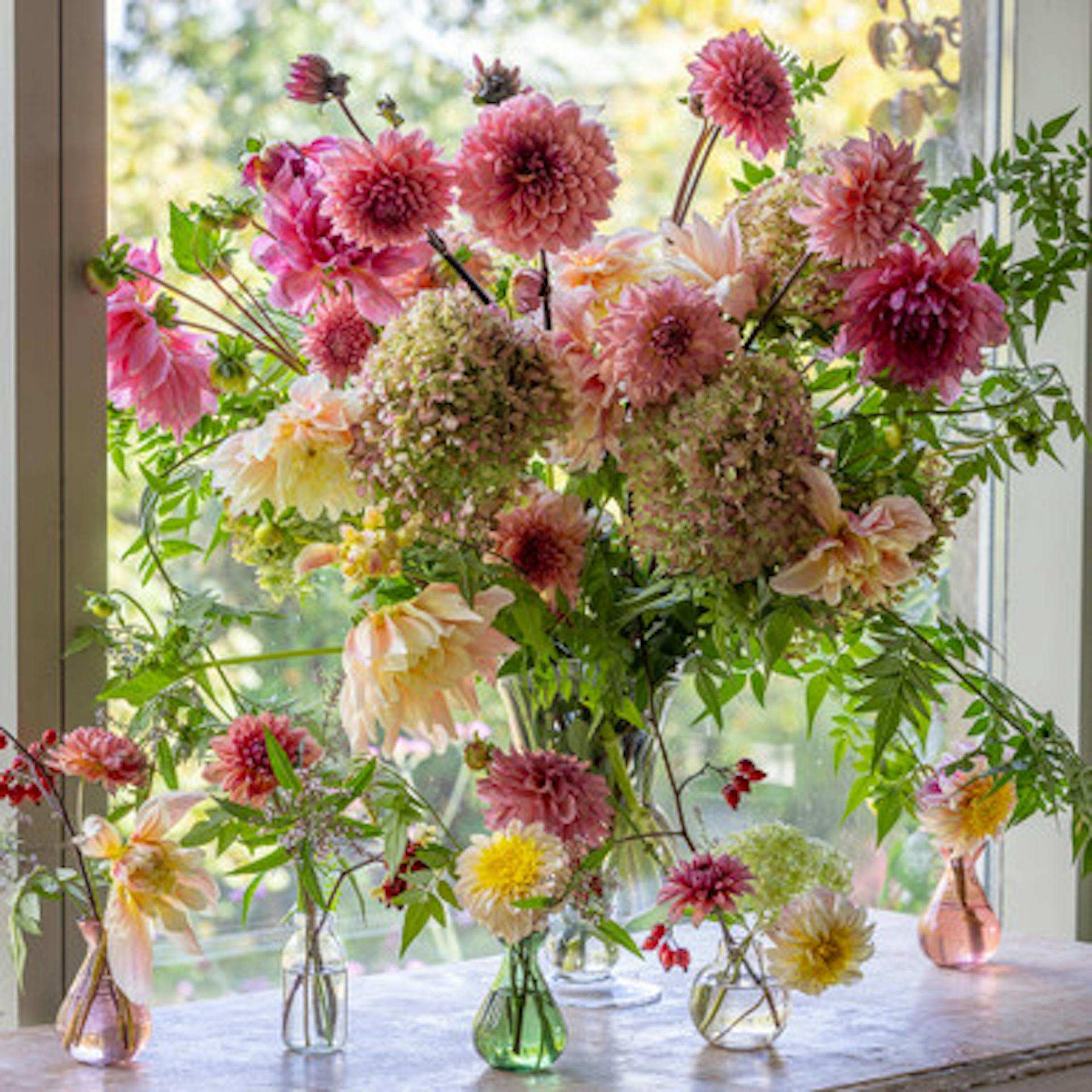 Lucinda Chambers Dahlia Collection