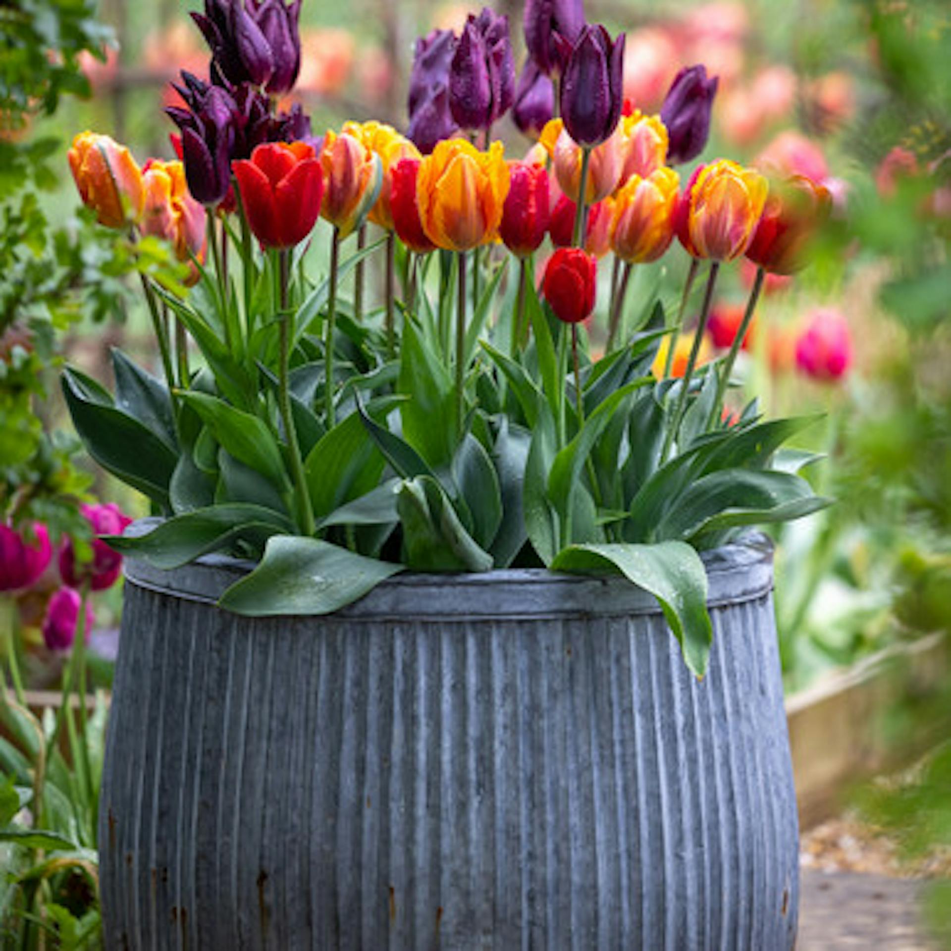 Ribbed Planters