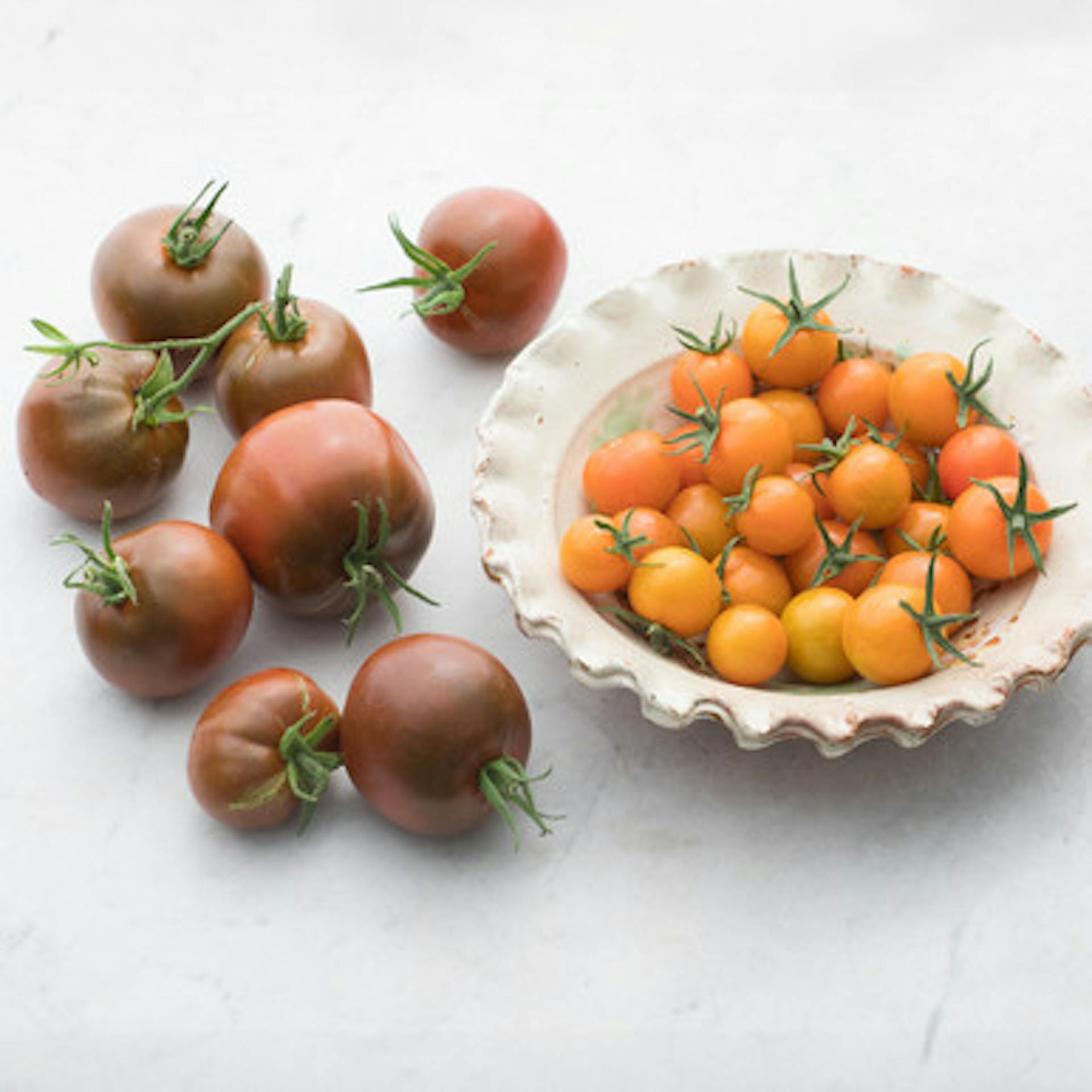 Tomato 'Sungold' and 'Noire de Crimèe' Collection (Grafted)