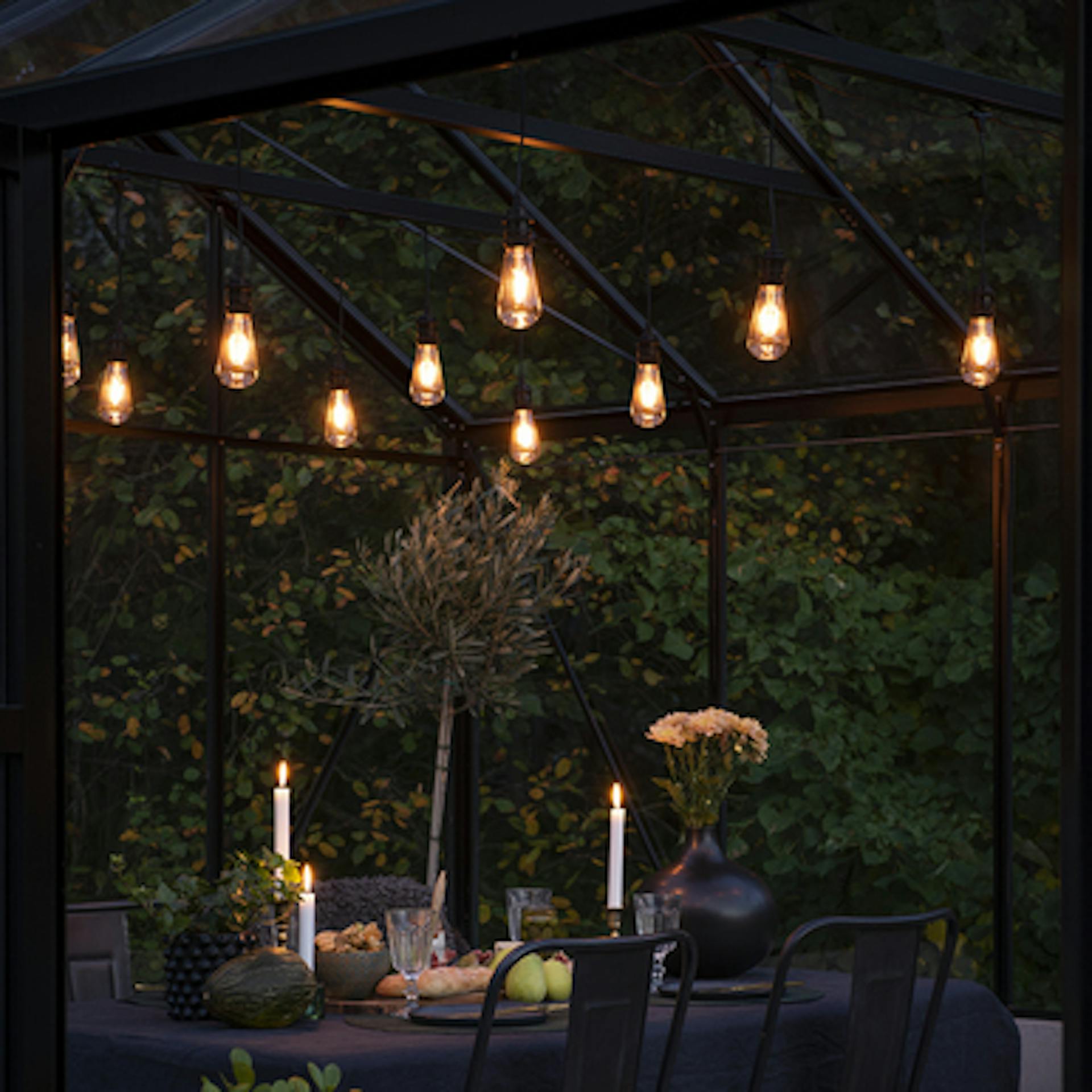 Opulent Festoon Lights