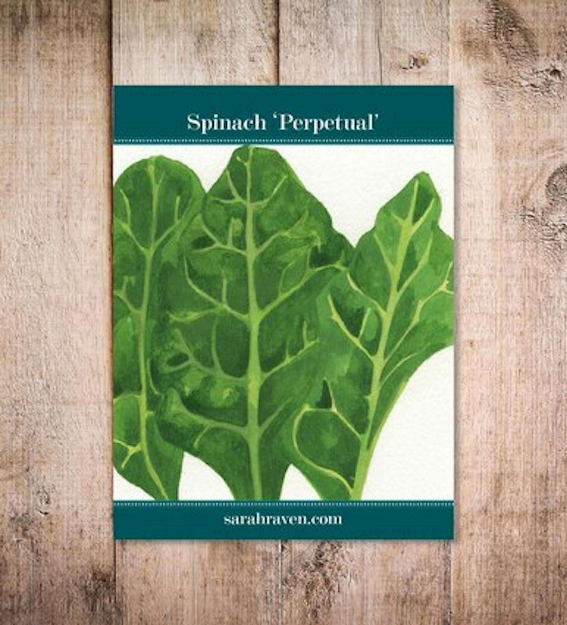 Perpetual Spinach