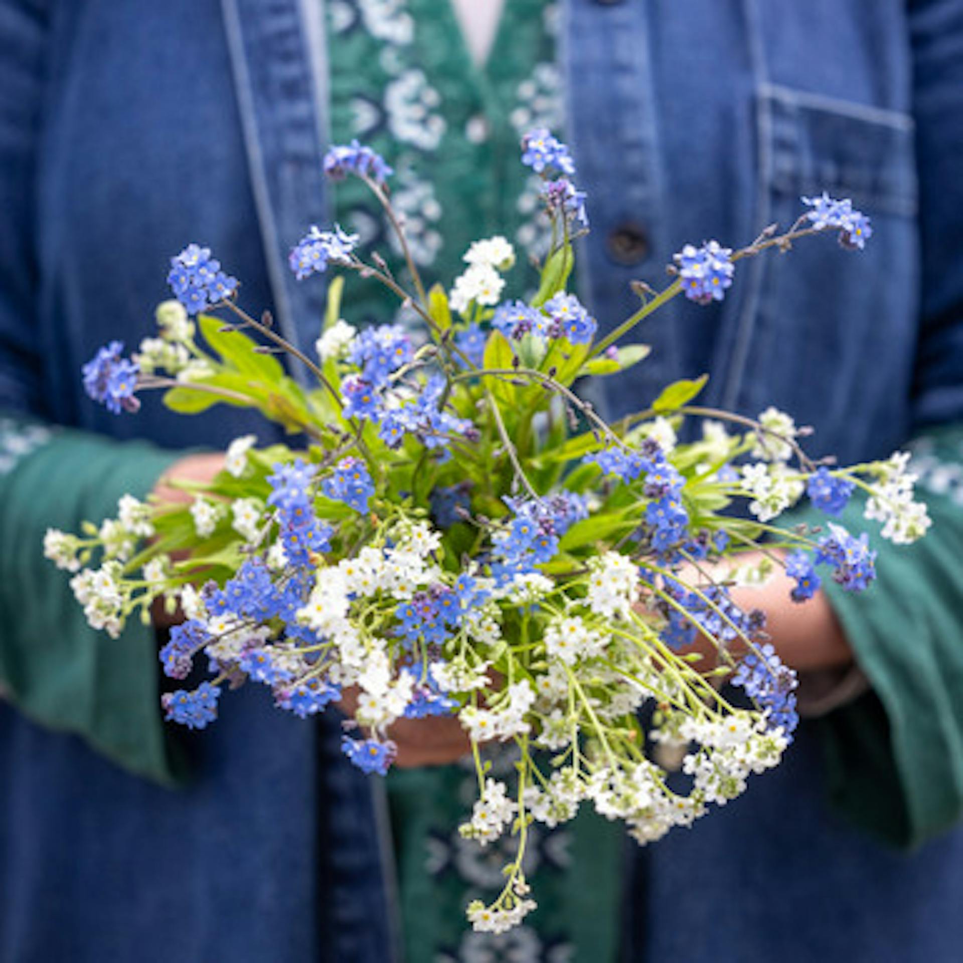 Let's Forget-me-NOT Collection