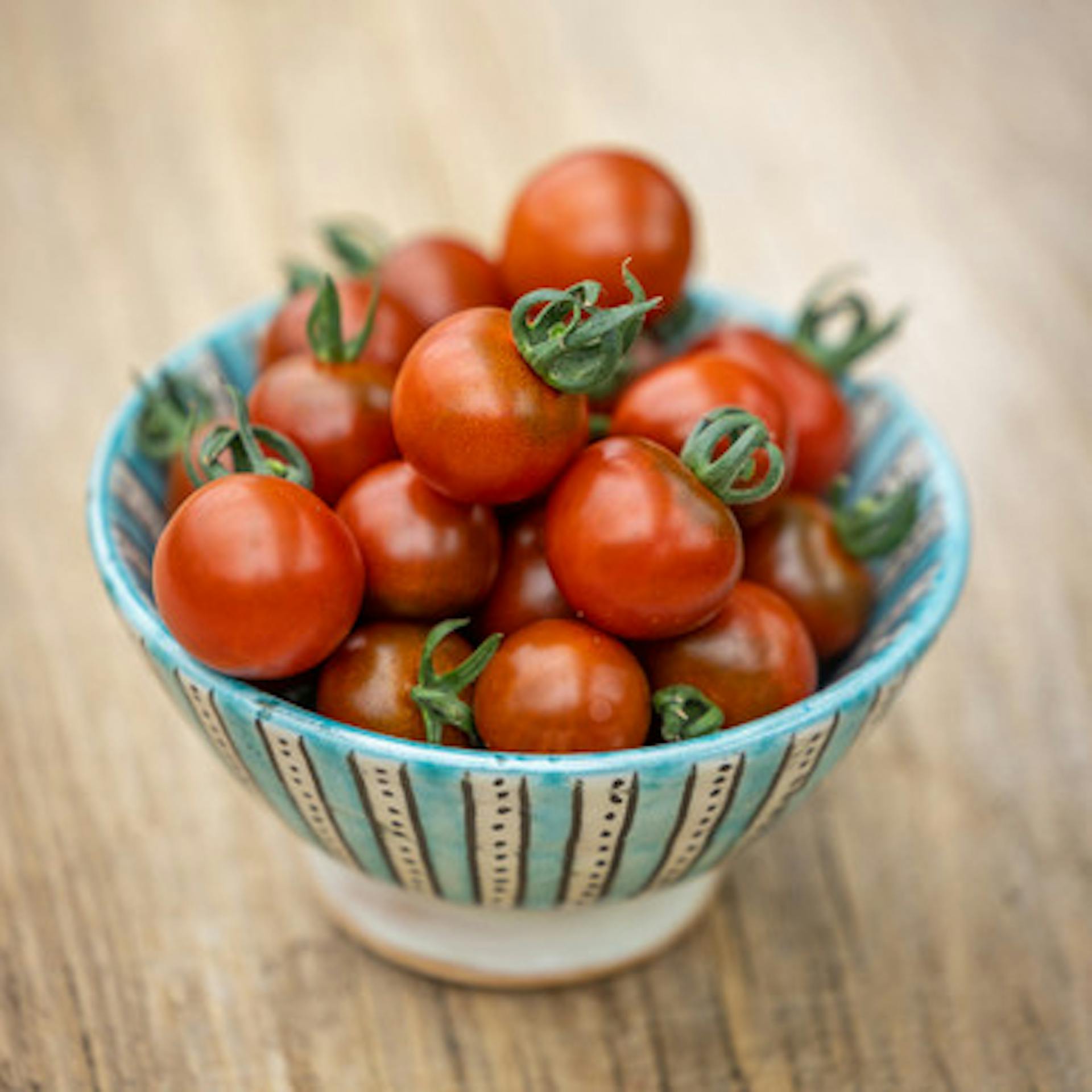Tomato 'Garnet'