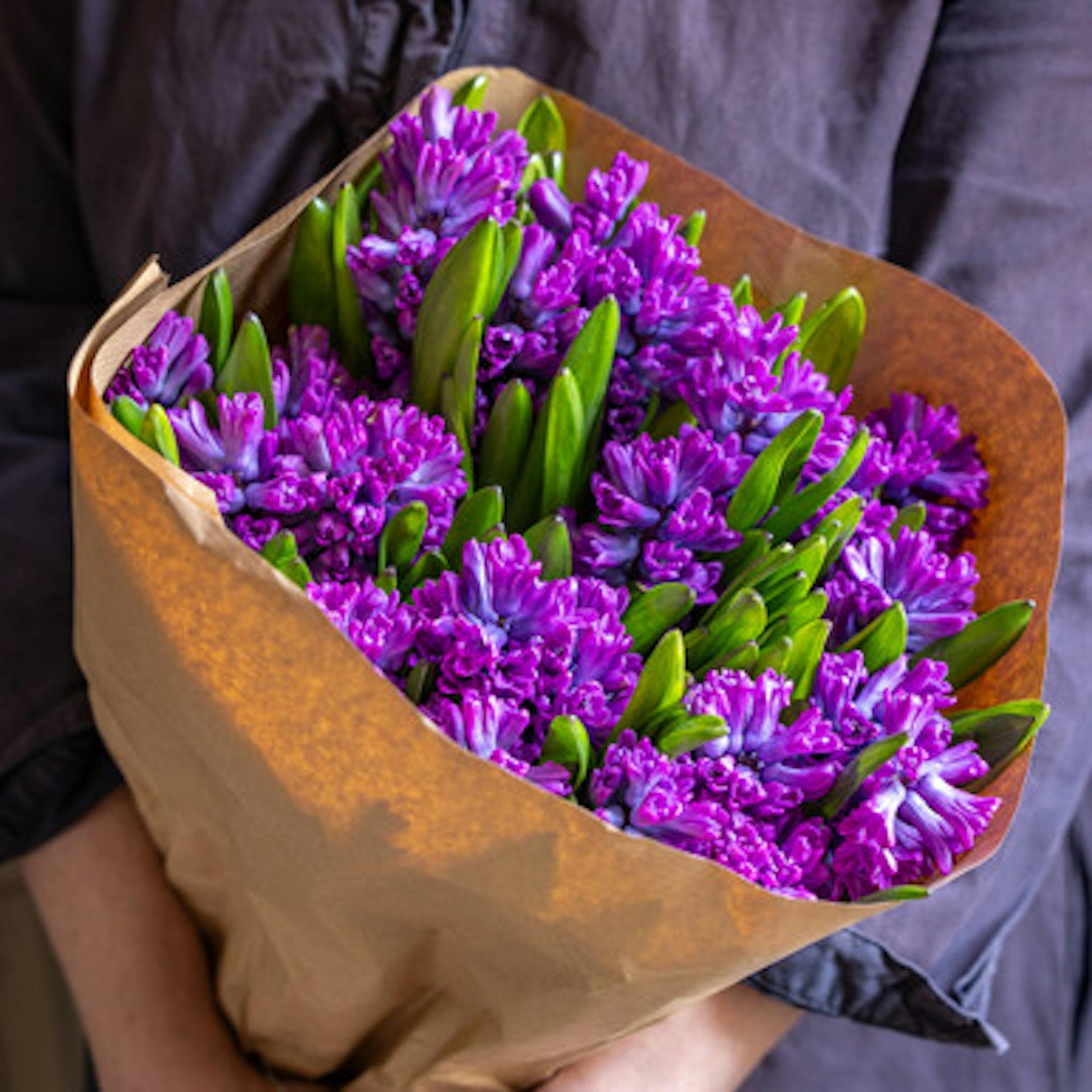 Hyacinth Bunch