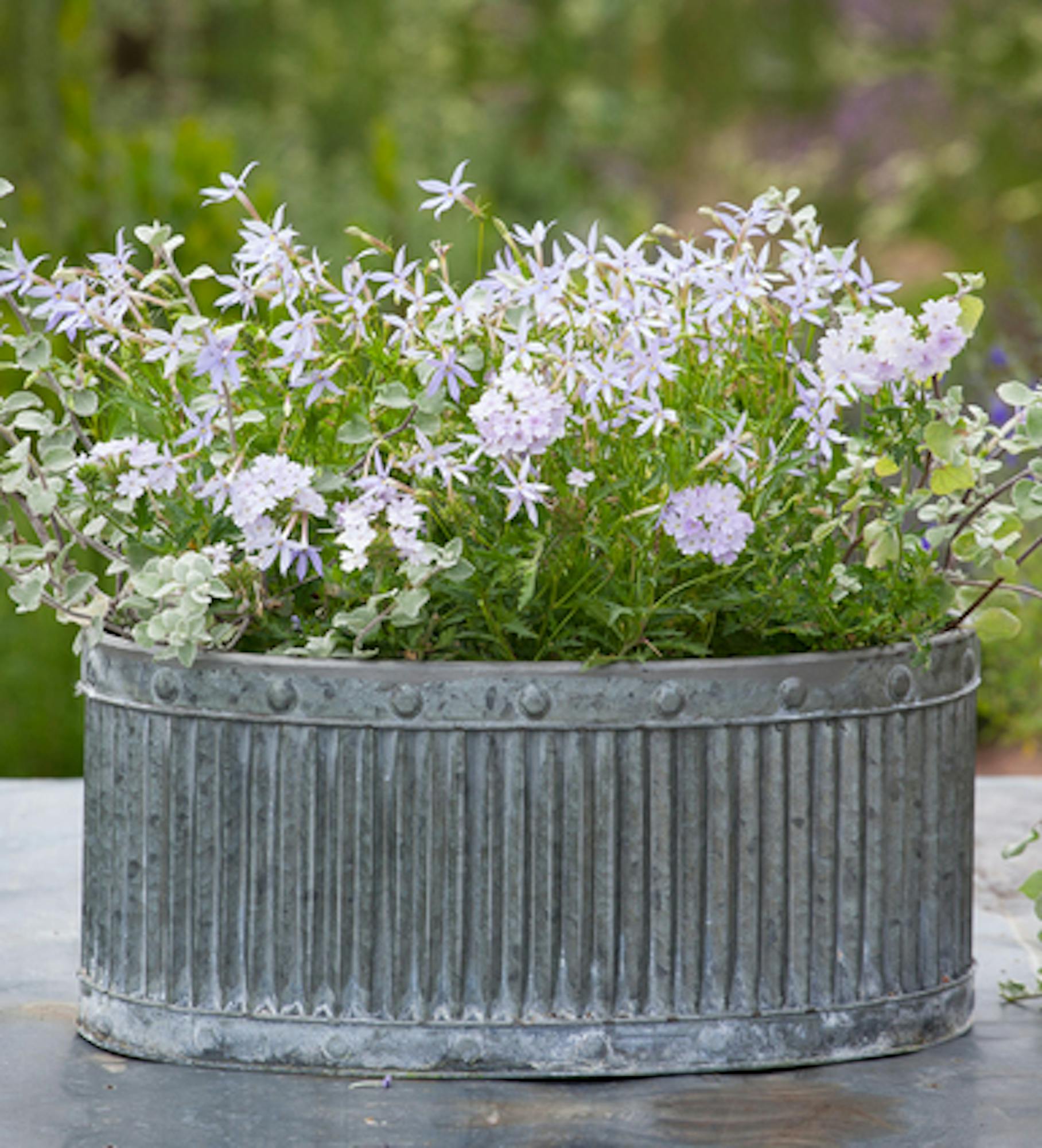 Ribbed Oval Zinc Planters