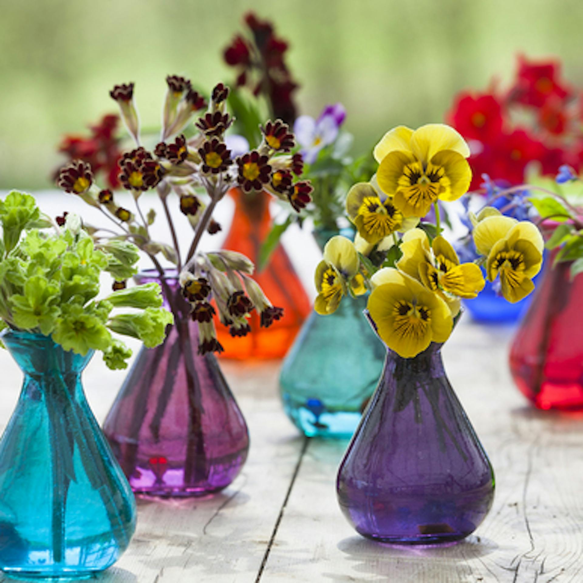 Individual Jewel Vases